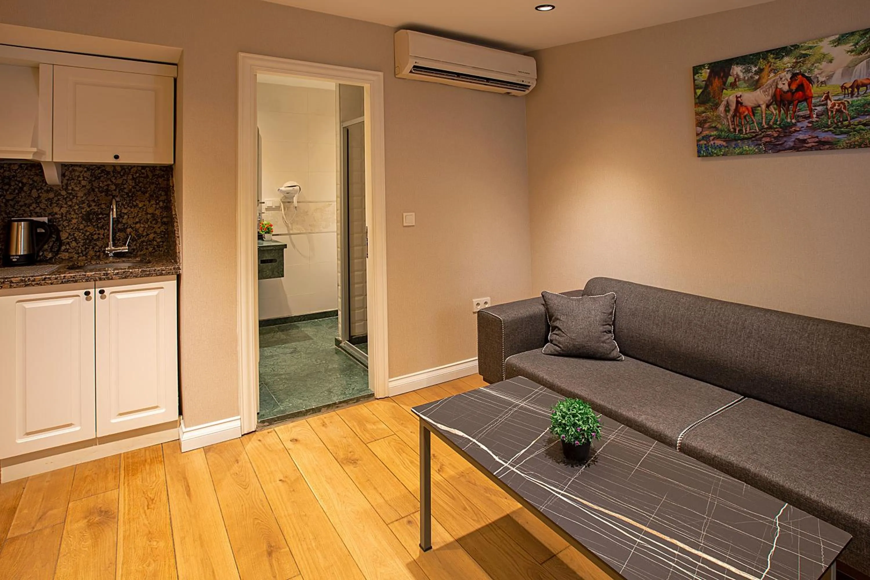 TV and multimedia in Moss Suites Hotel