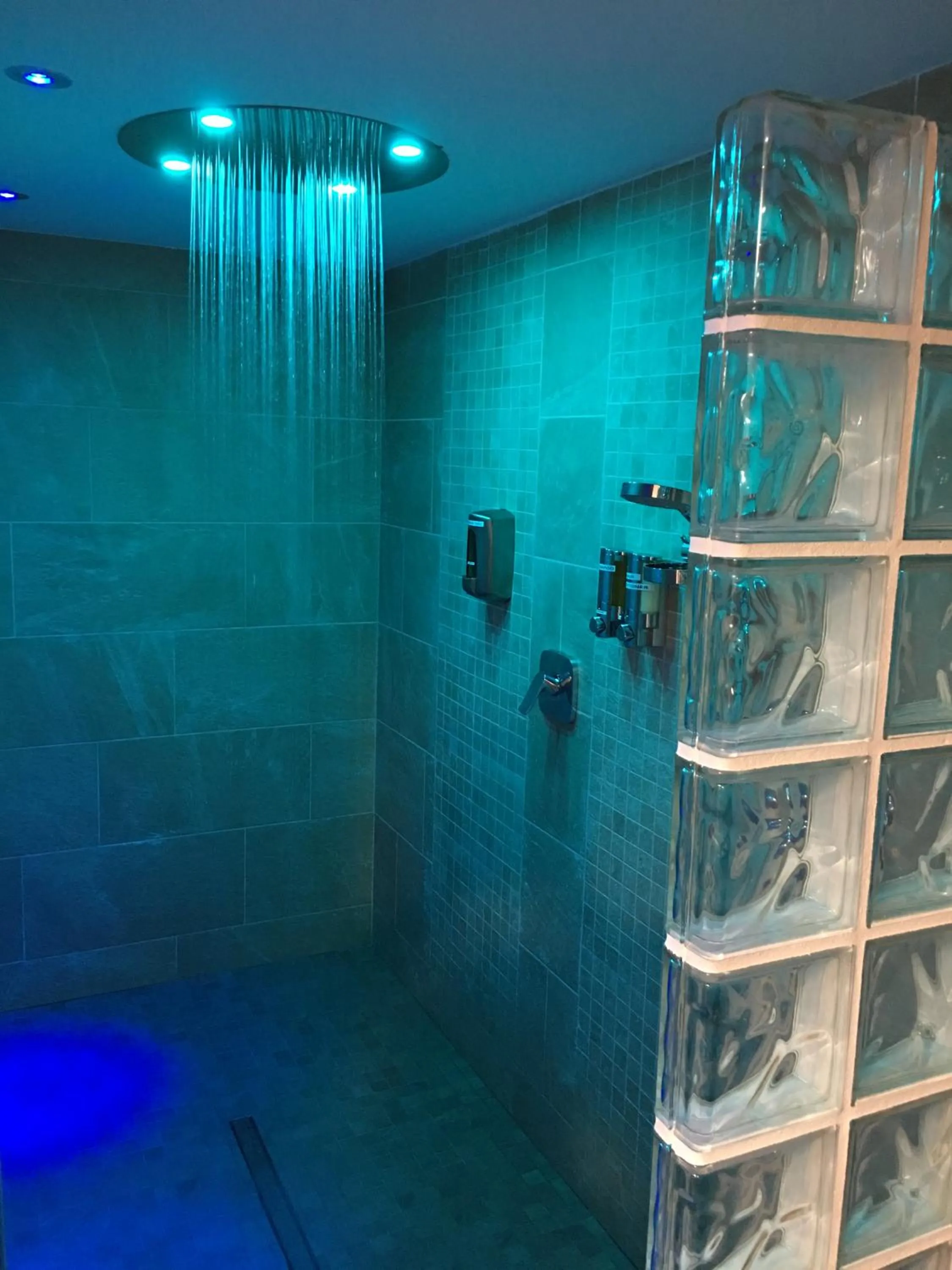 Sauna in Hotel Balcón de Europa