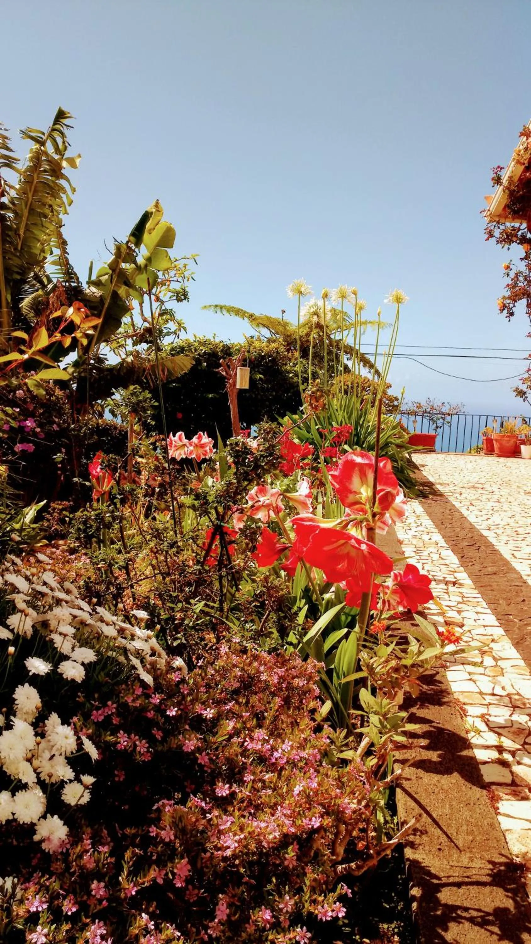 Garden in La Chambre de Ker Briac