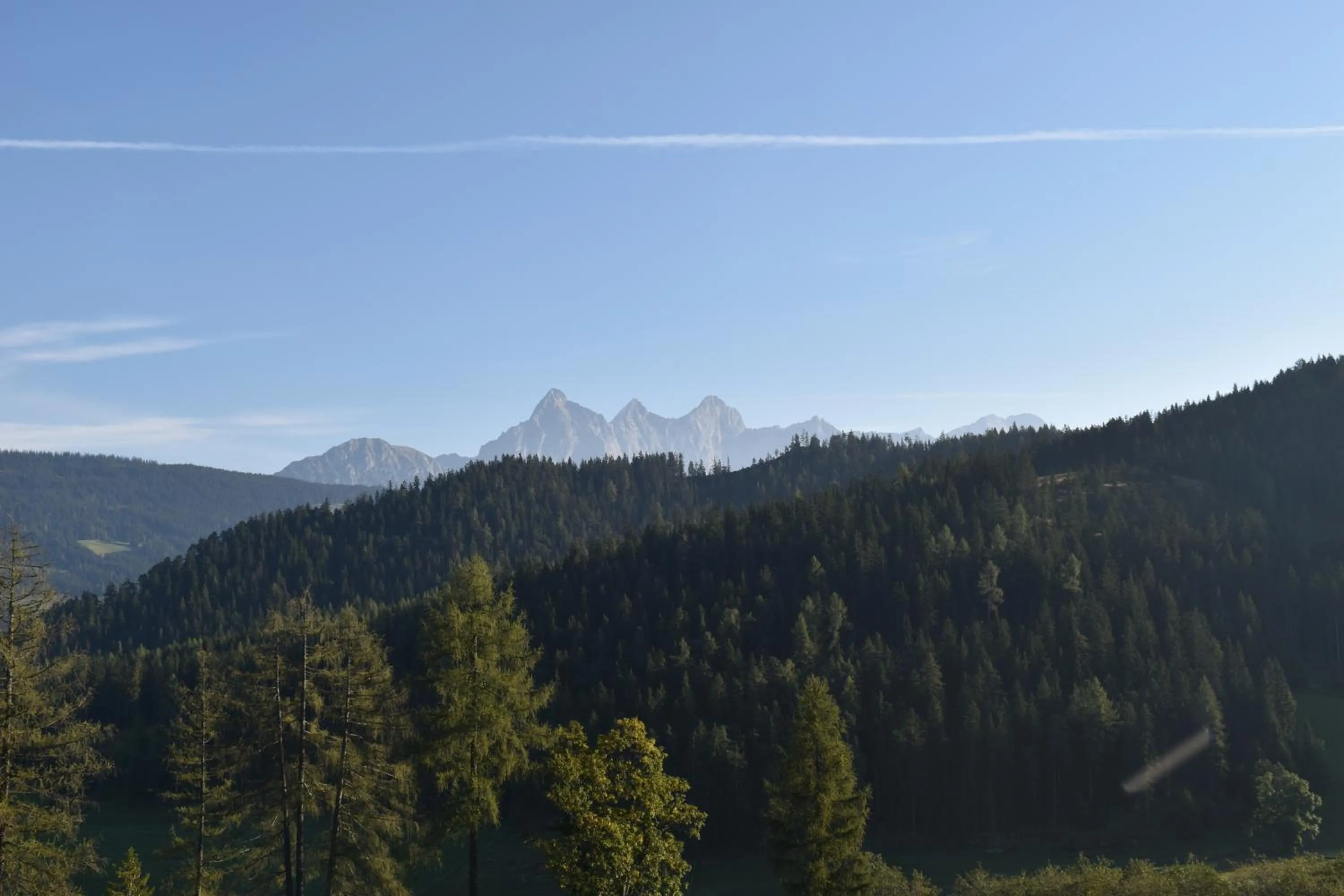 Natural landscape in Gut Maierlehen