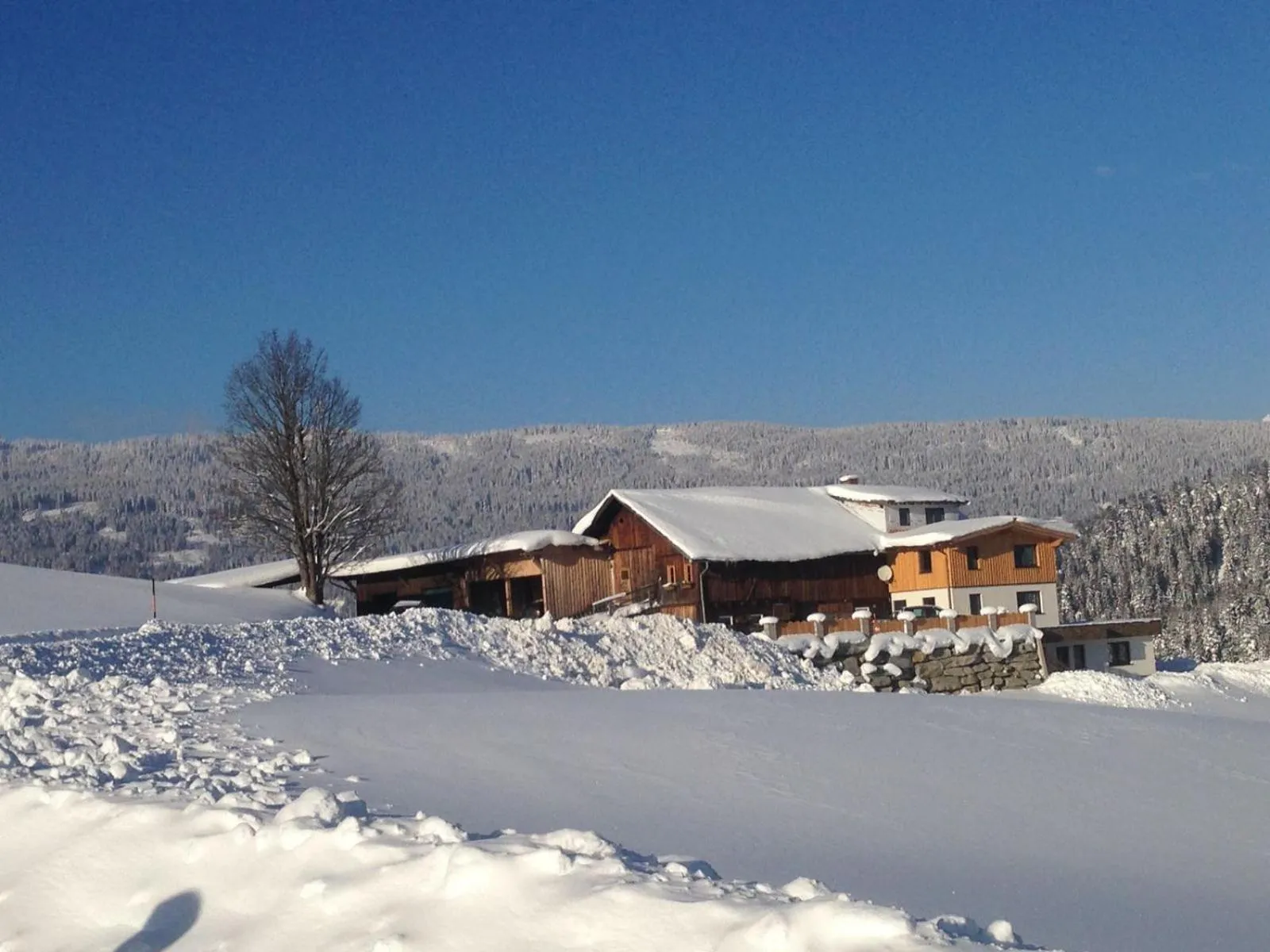 Property building in Gut Maierlehen