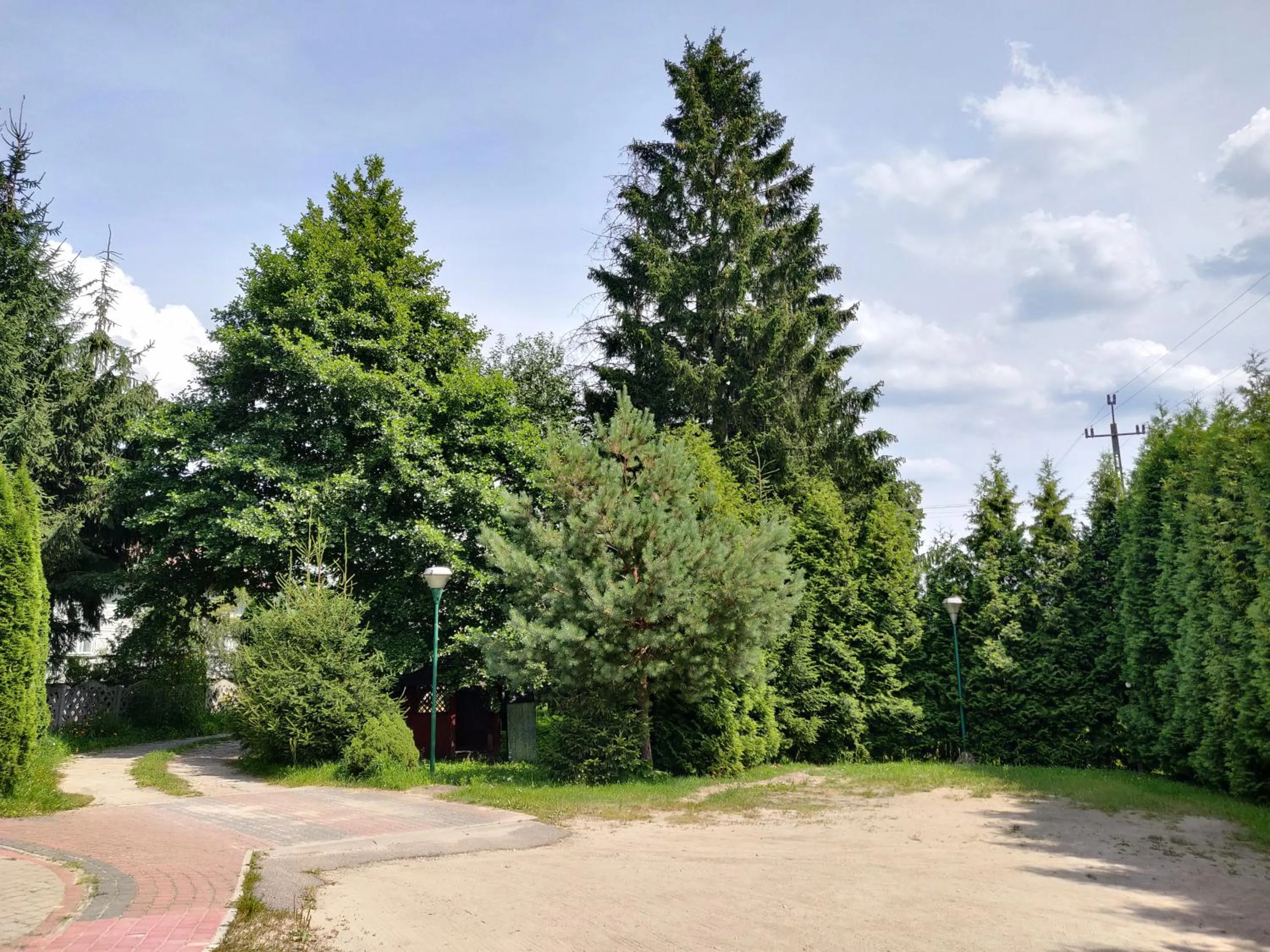 Natural landscape in NOCLEGI-SPŁYWY BUGIEM