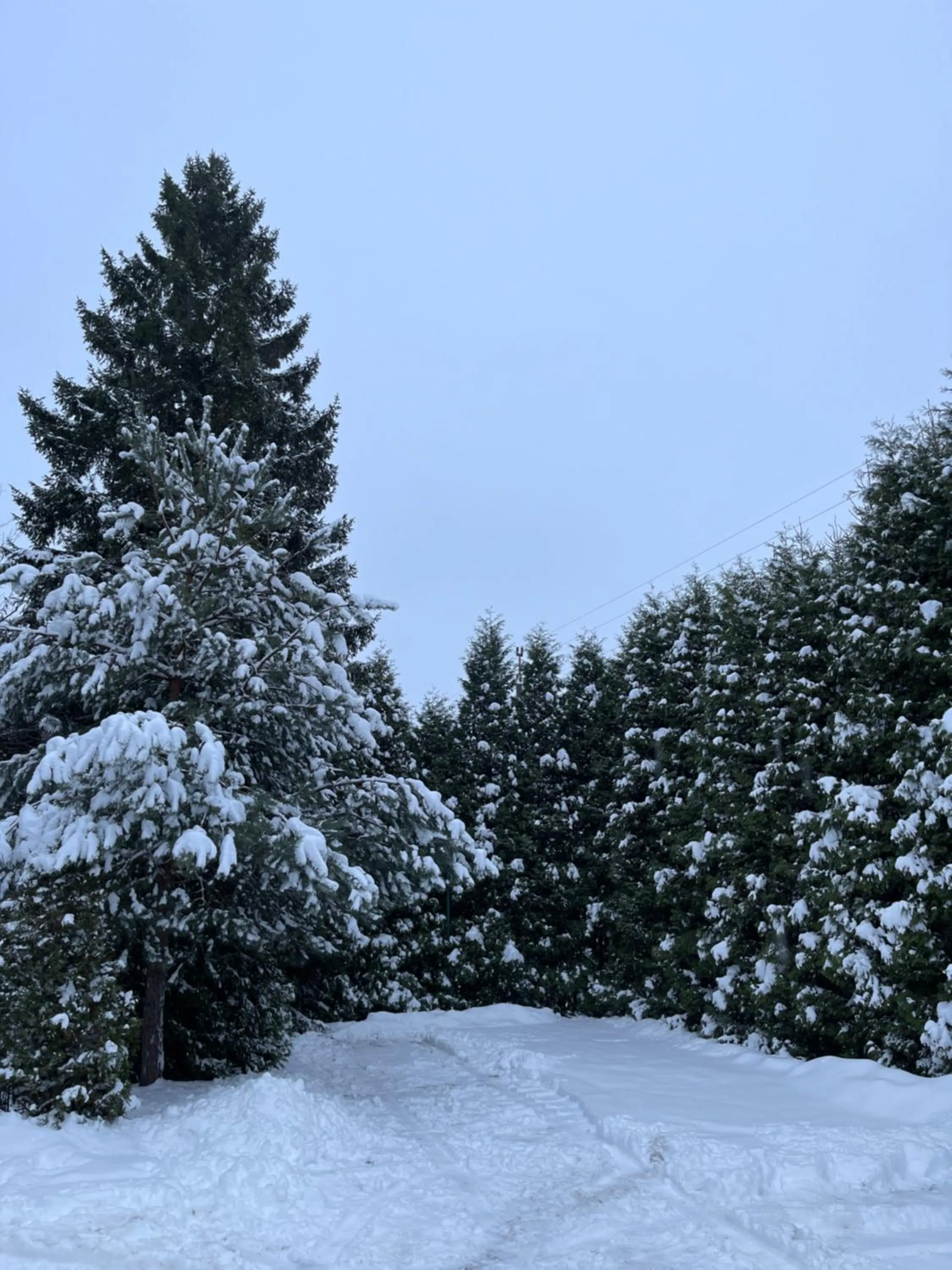 NOCLEGI-SPŁYWY BUGIEM