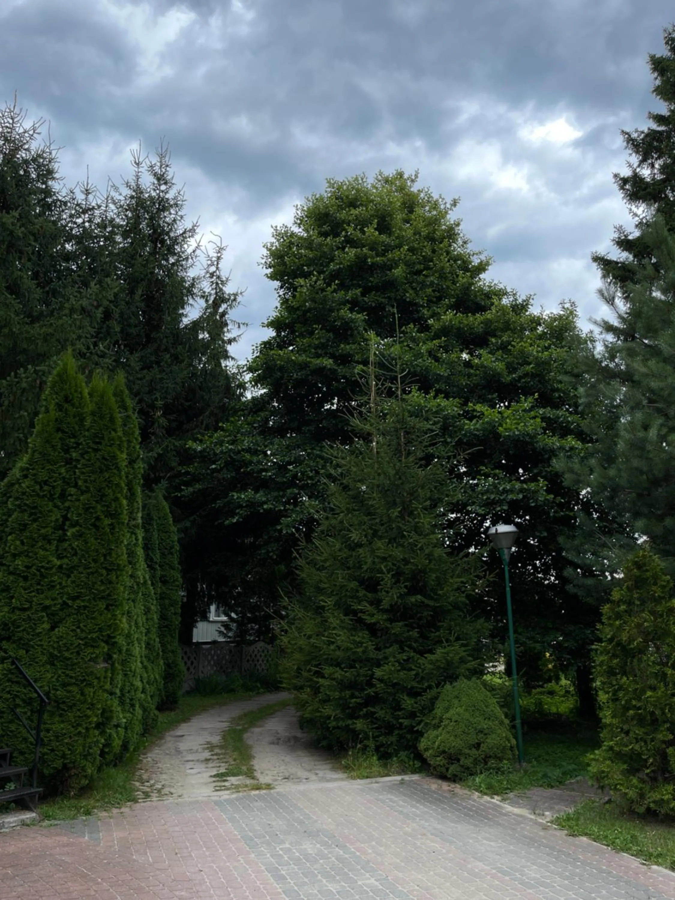 Natural landscape in NOCLEGI-SPŁYWY BUGIEM