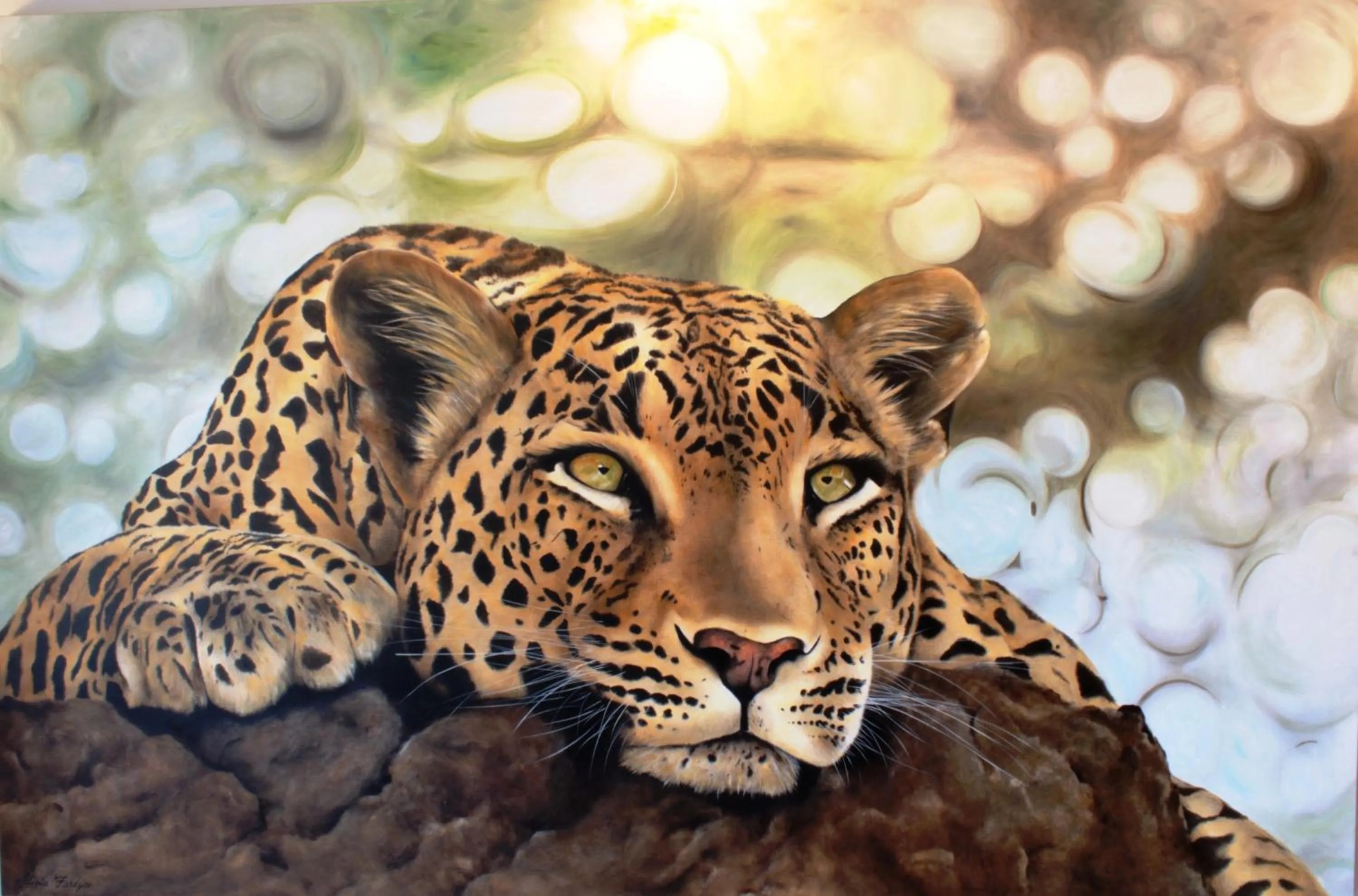 Logo/Certificate/Sign in The Belgium Inn