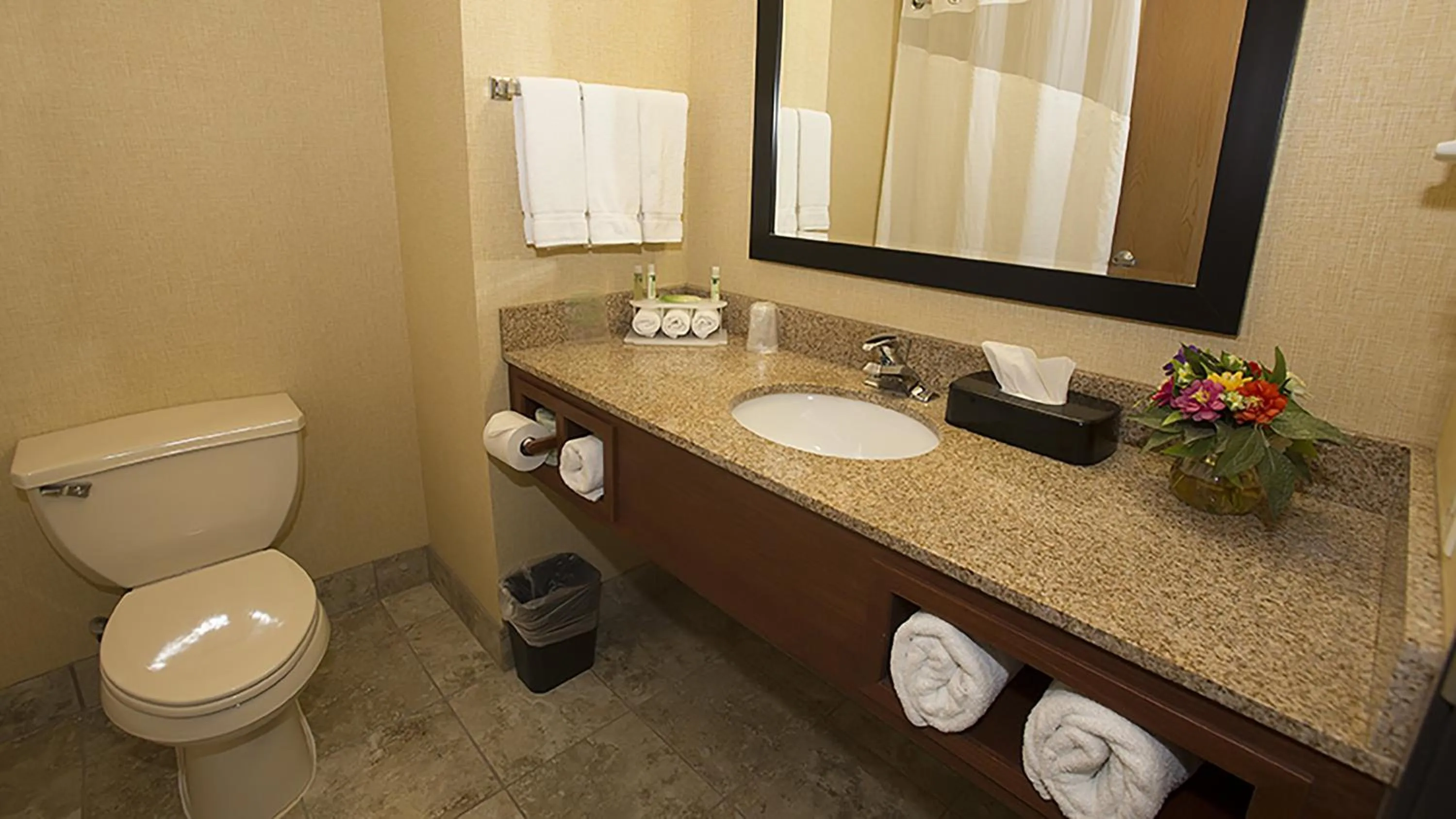 Bathroom in Holiday Inn Express Boonville by IHG