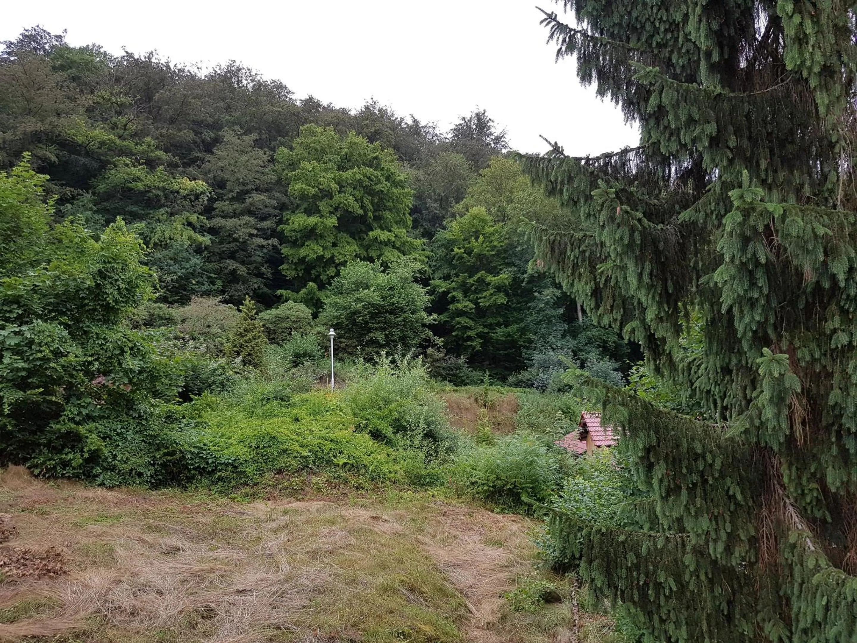 Natural landscape in Hotel - Restaurant Sophienaue