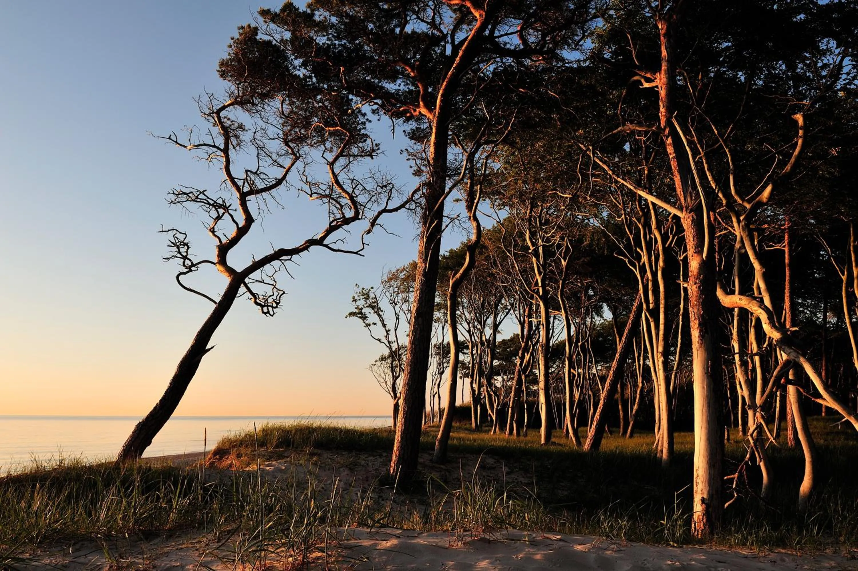 Area and facilities in Hotel & Restaurant Seebrücke