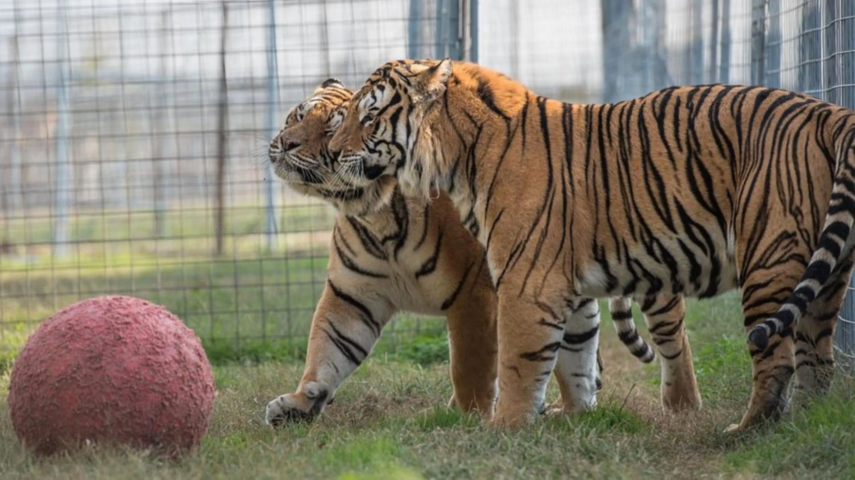 Nearby landmark in Candlewood Suites Fayetteville by IHG