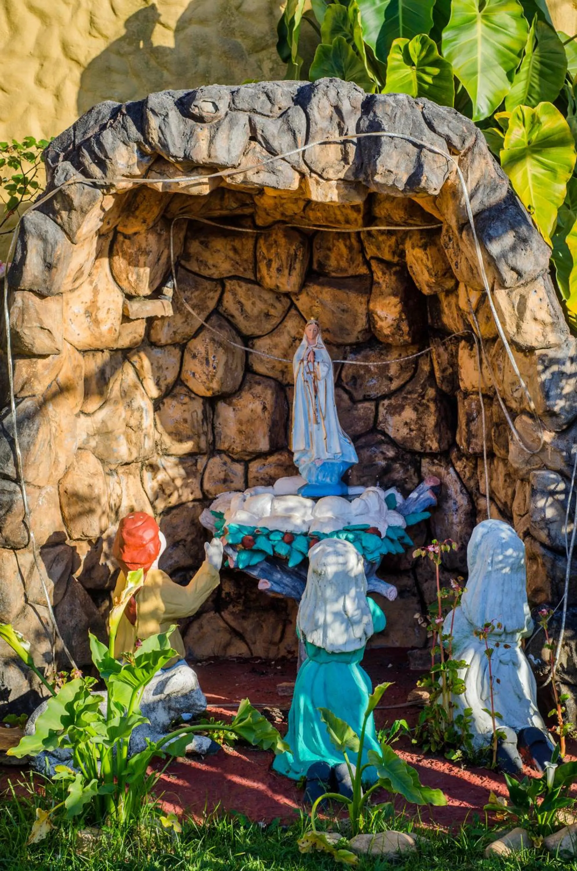 Garden in Pousada Heron