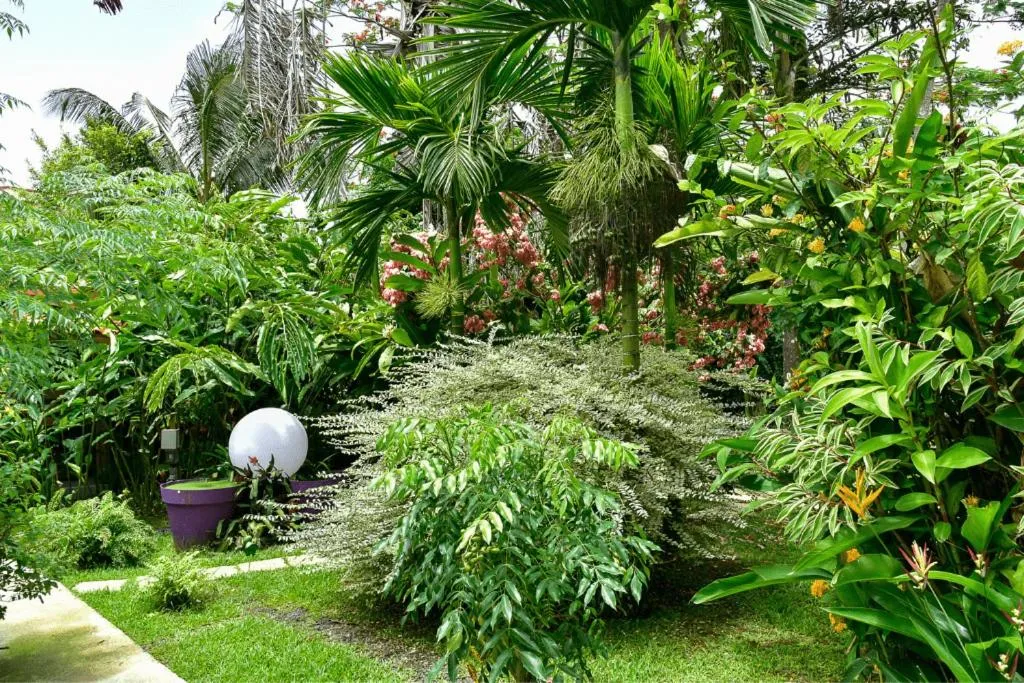 Other in Redoute Paradise