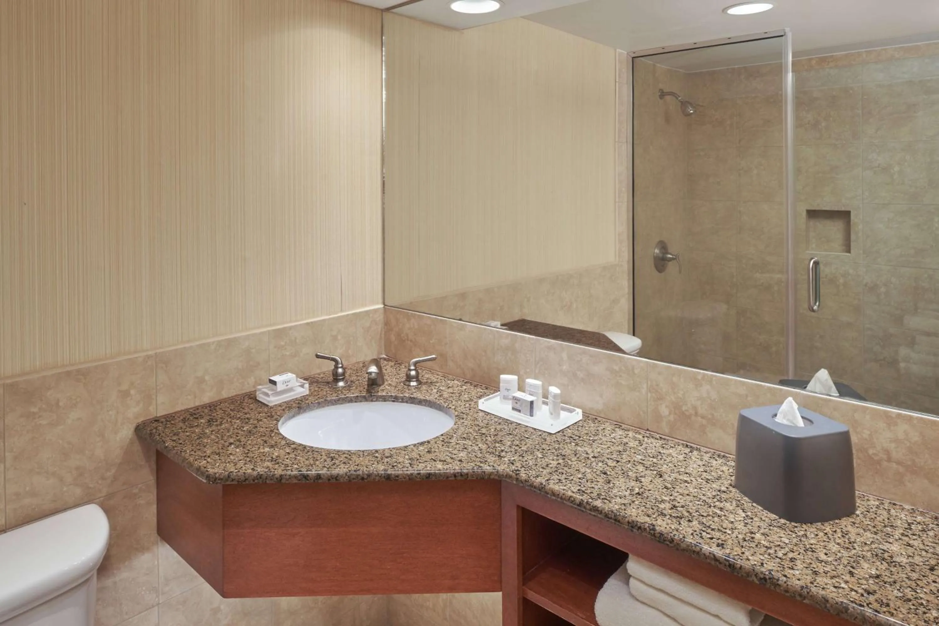 Bathroom in Holiday Inn - Executive Center-Columbia Mall, an IHG Hotel