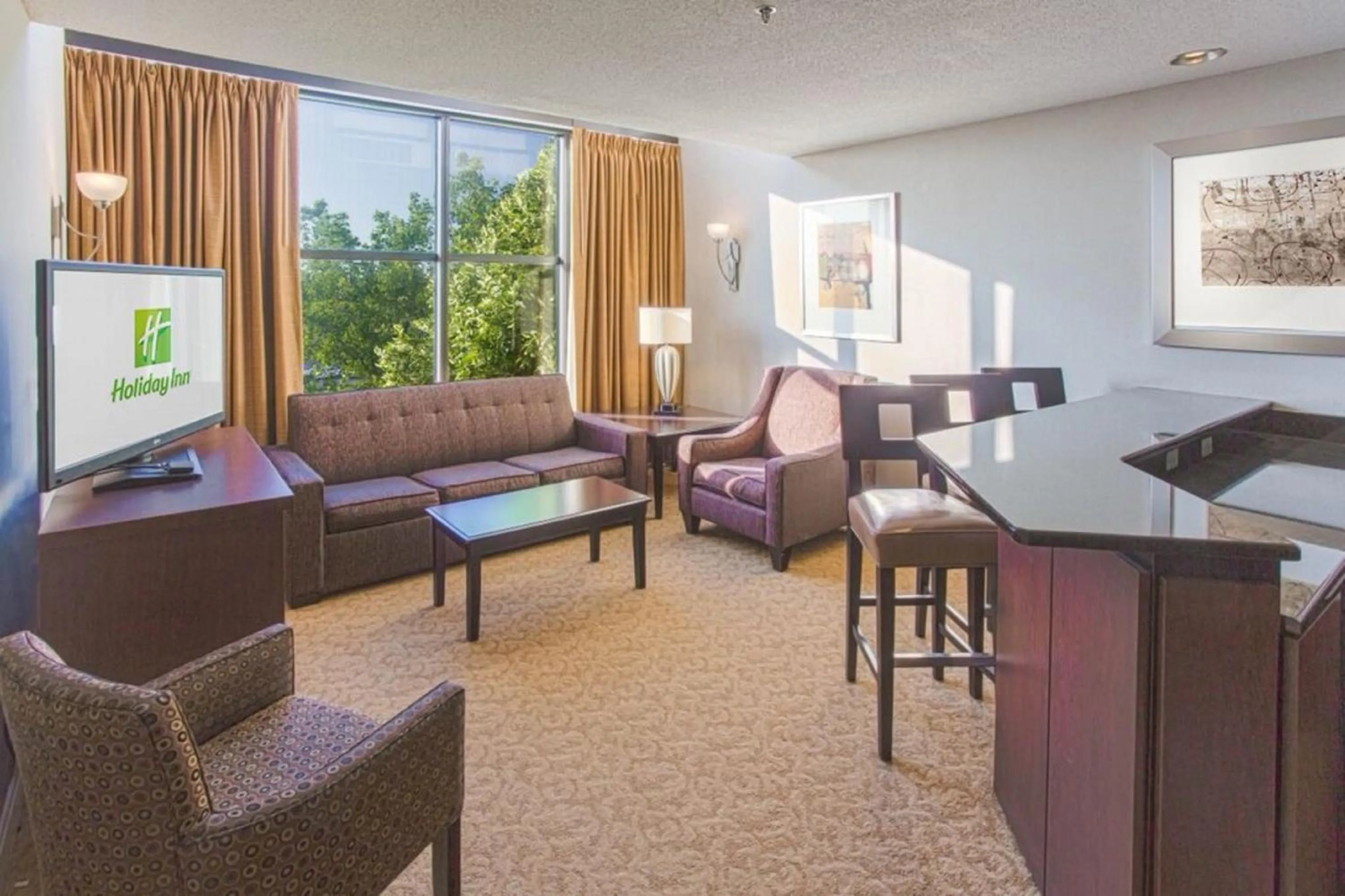 Suite with View - Non-Smoking in Holiday Inn - Executive Center-Columbia Mall, an IHG Hotel