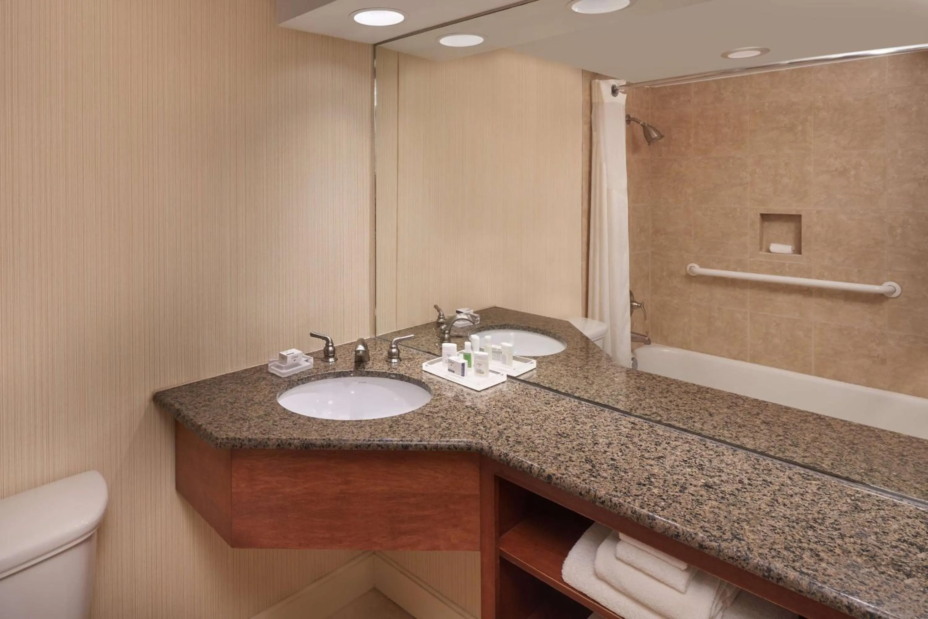 Bathroom in Holiday Inn - Executive Center-Columbia Mall, an IHG Hotel