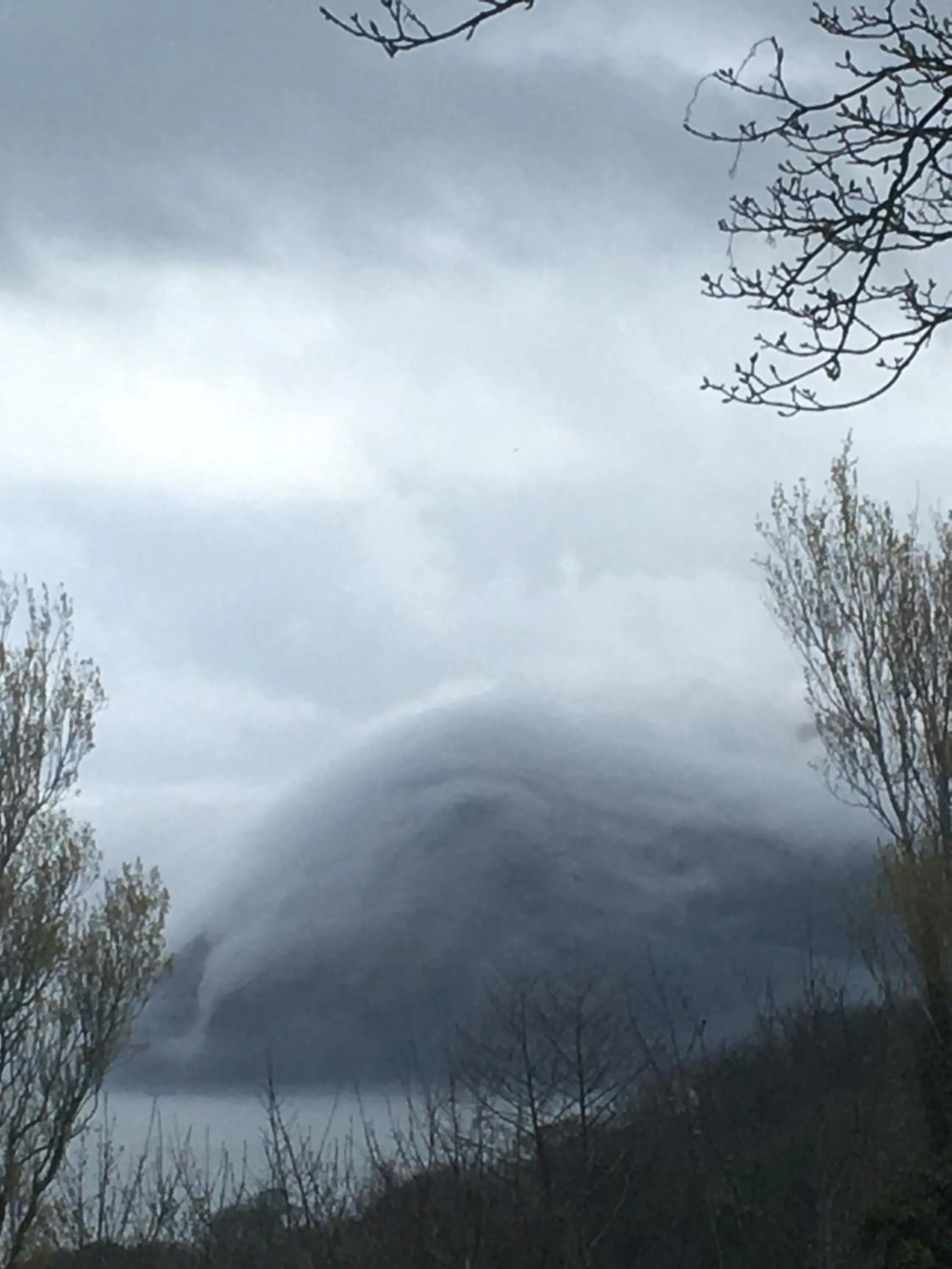 Natural landscape in Newberry Beach lodge