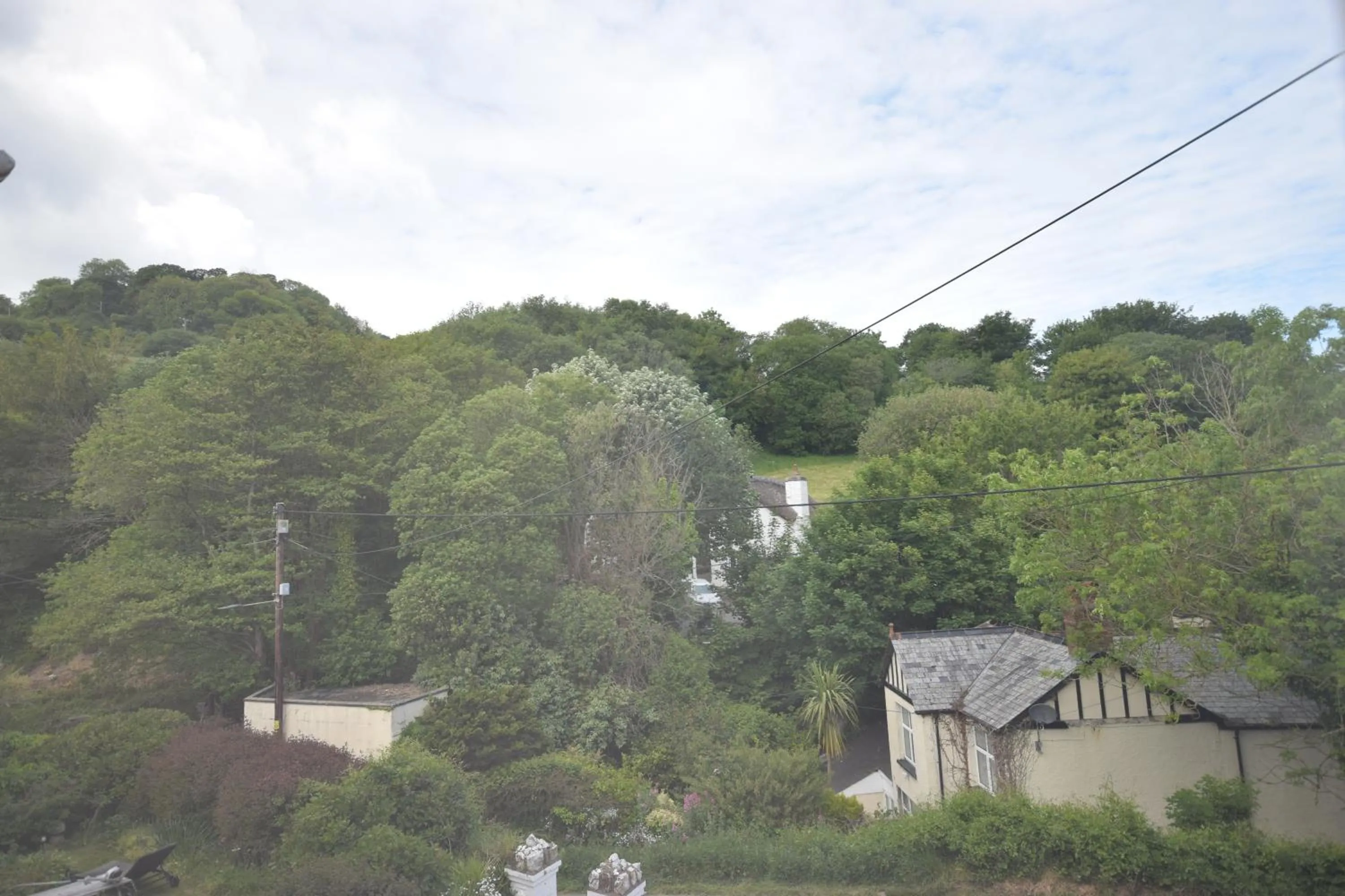 Natural landscape in Newberry Beach lodge