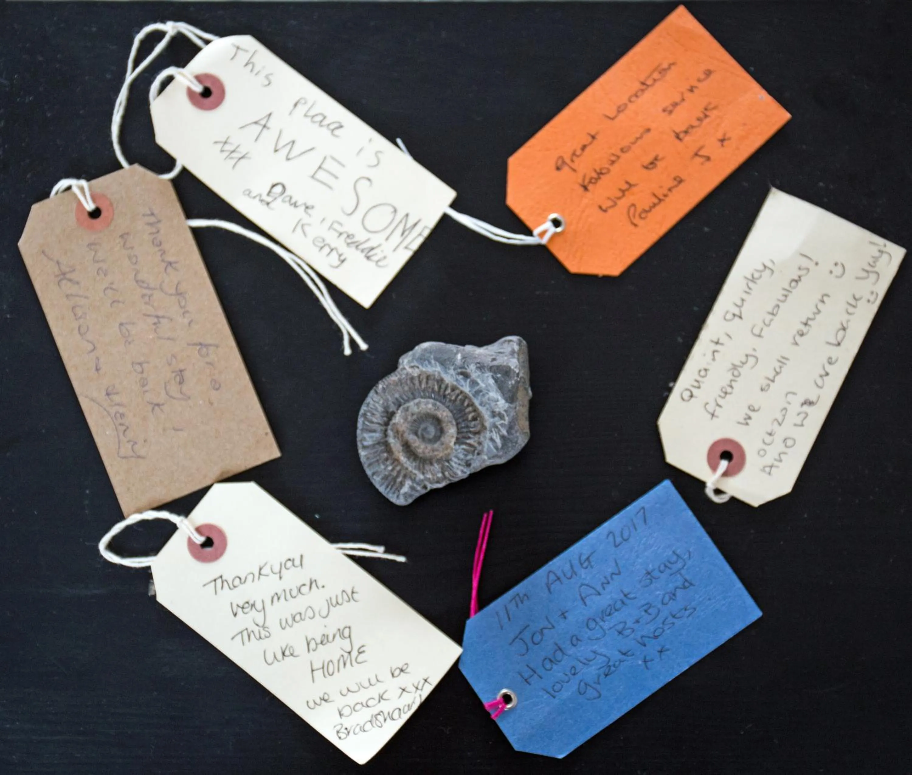 Decorative detail in Newberry Beach lodge