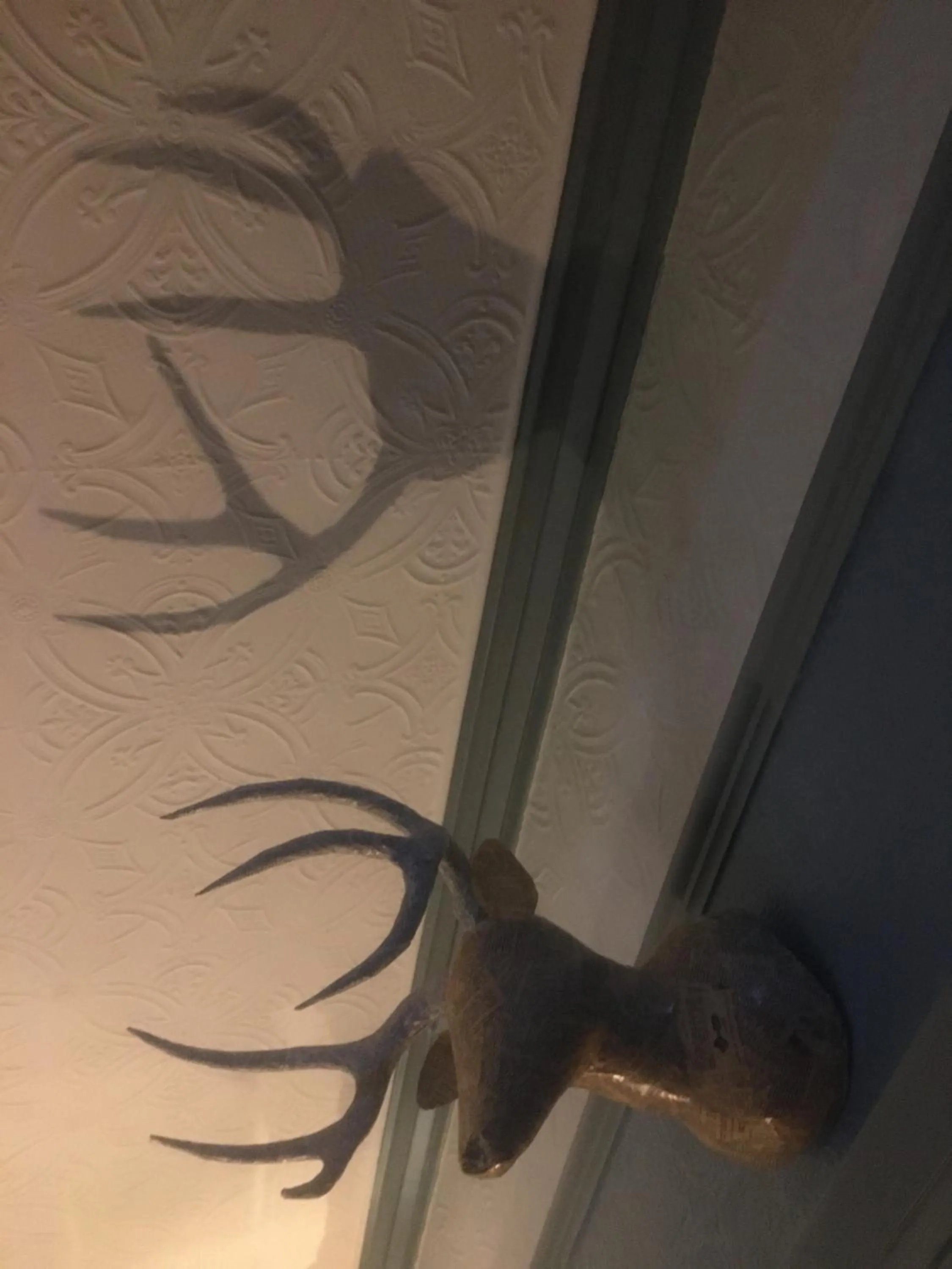 Lobby or reception in Newberry Beach lodge