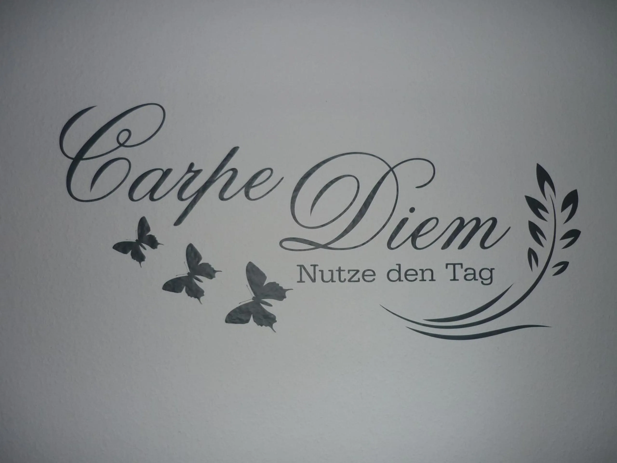 Two-Bedroom Apartment in Carpe Diem