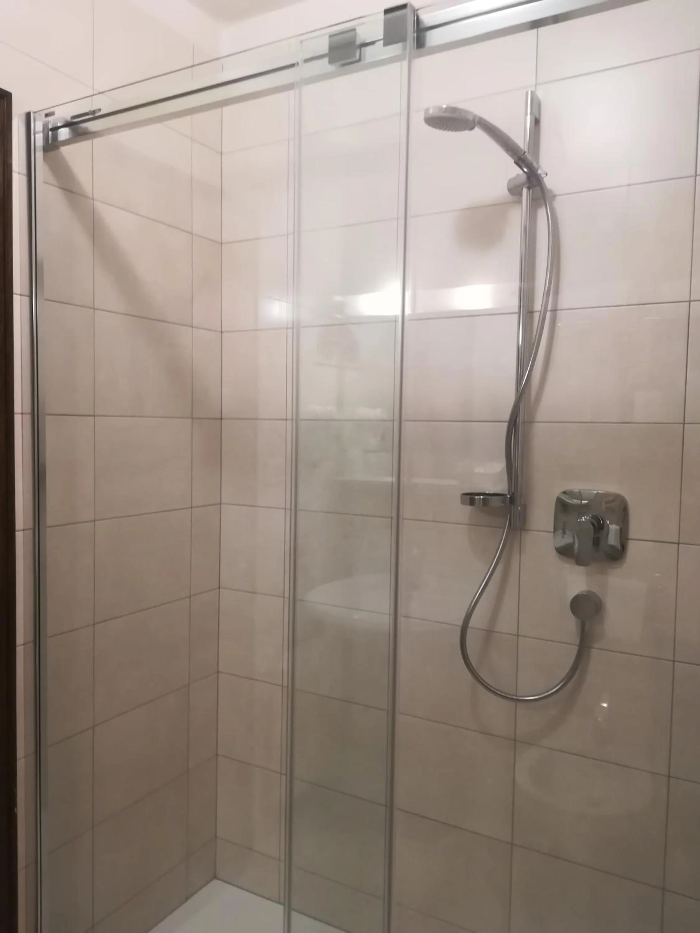 Shower in Hotel Brandl