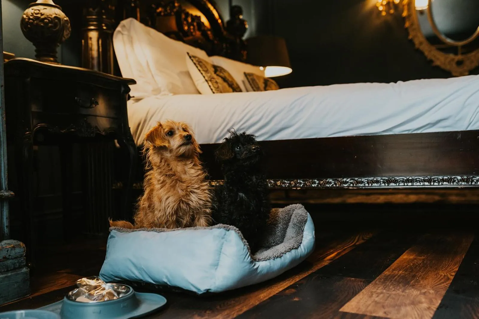 Le Petit Chateau & William de Percy