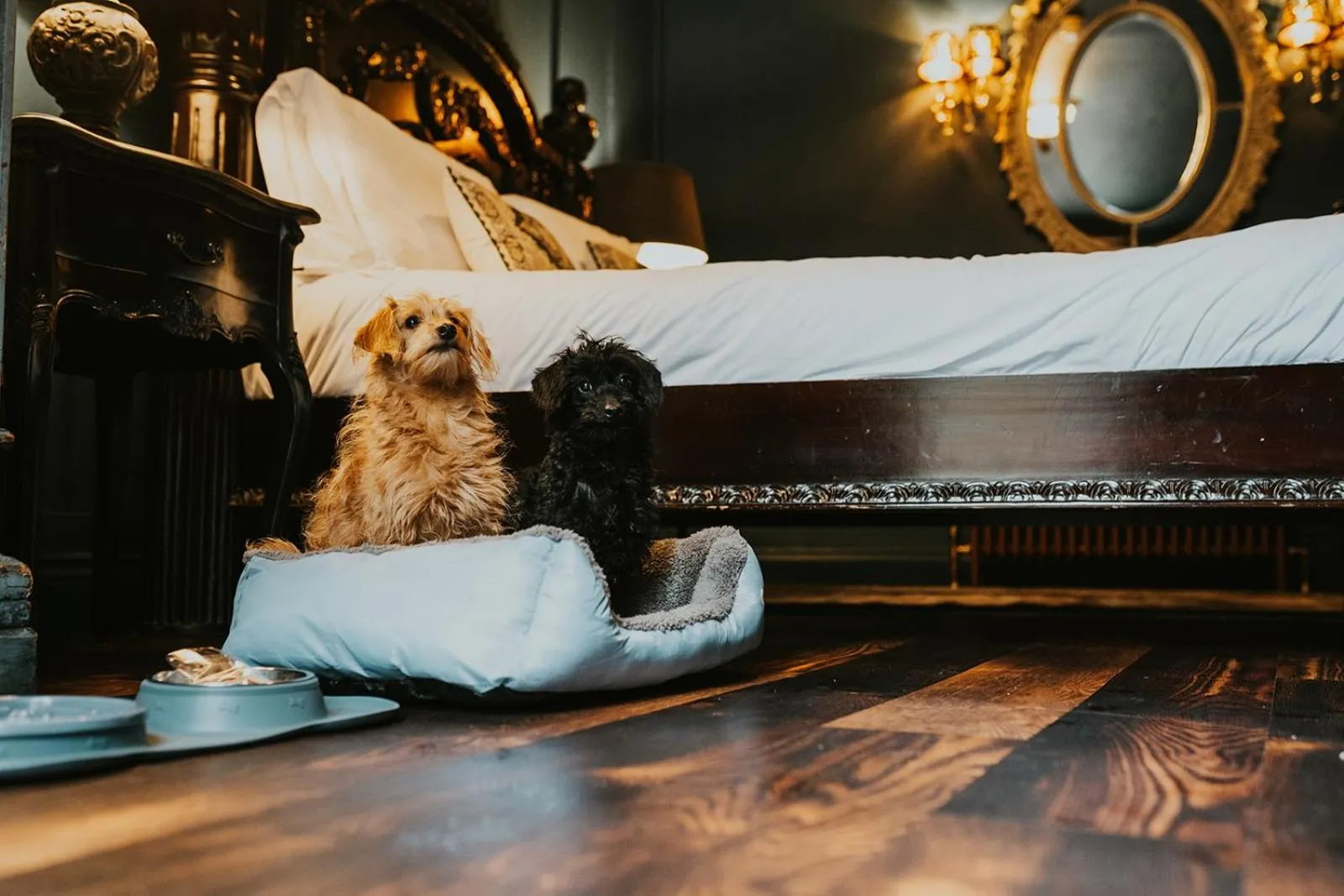 Le Petit Chateau & William de Percy