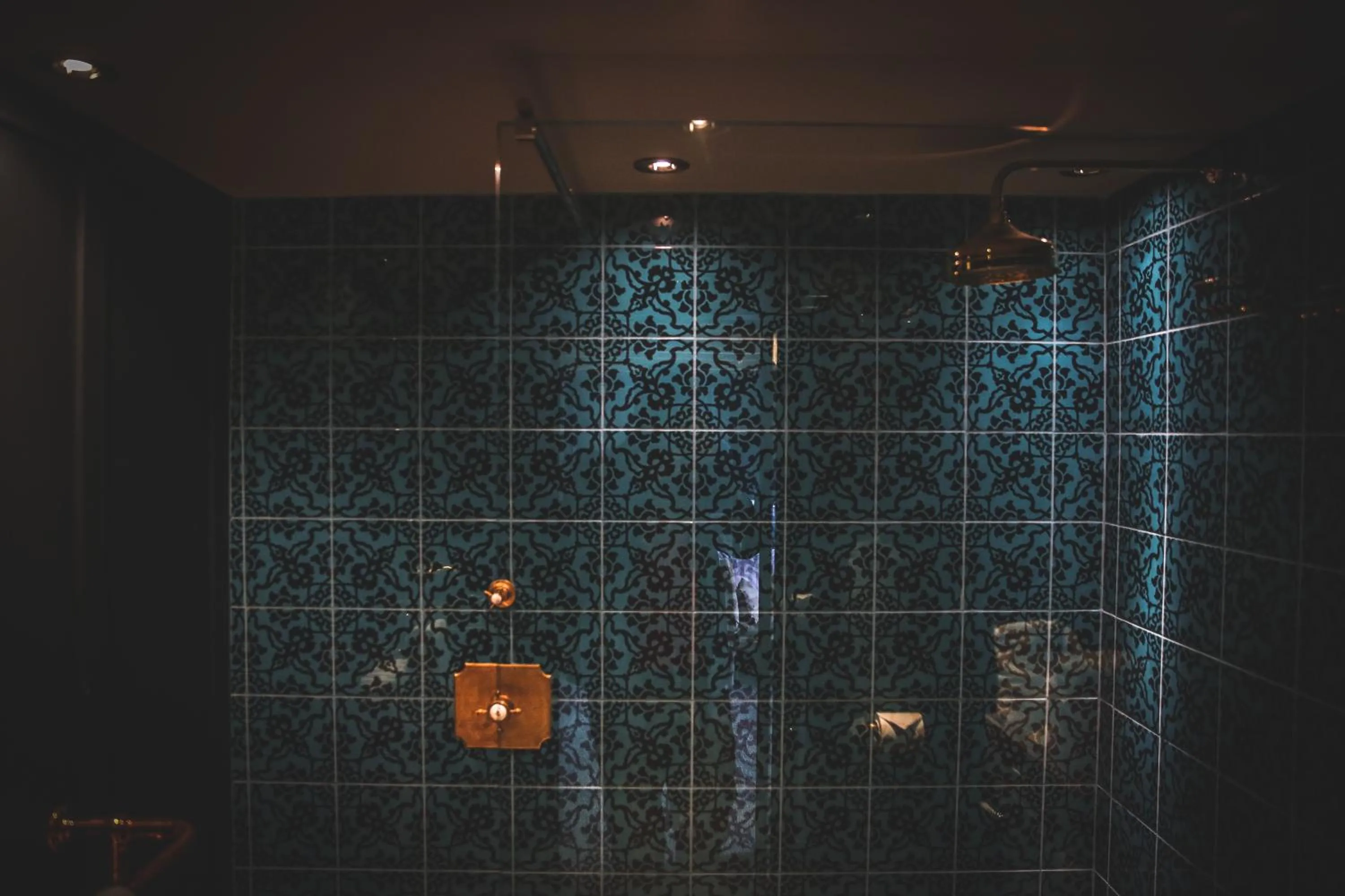 Shower in Le Petit Chateau & William de Percy