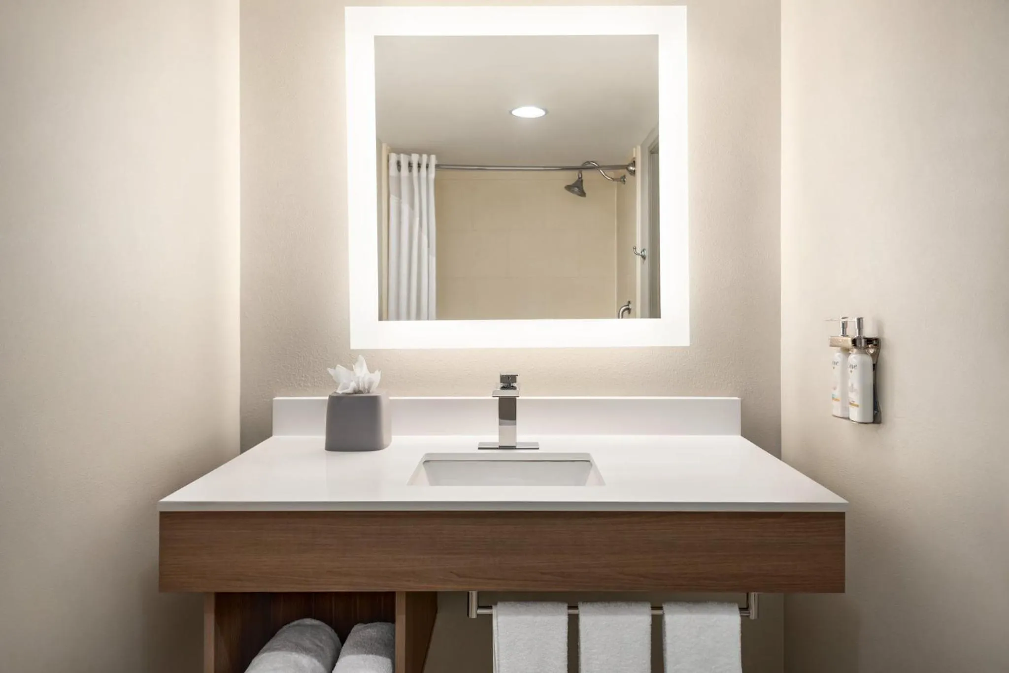 Bathroom in Holiday Inn Express Hotel & Suites Fredericksburg by IHG