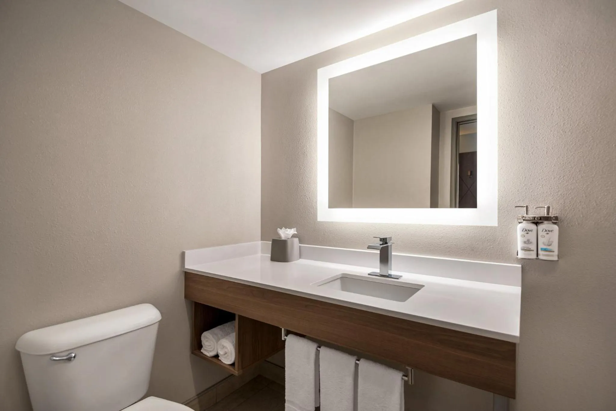 Bathroom in Holiday Inn Express Hotel & Suites Fredericksburg by IHG