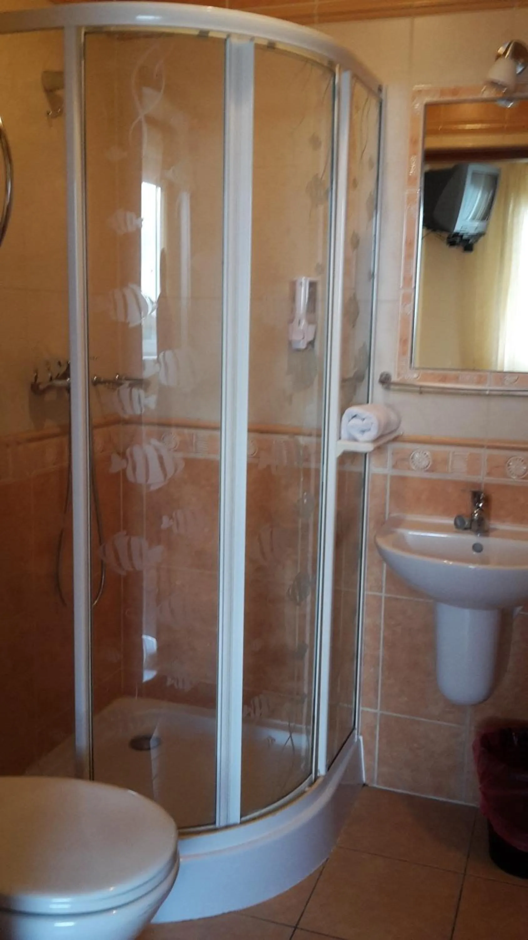 Bathroom in Agal Zieleniec