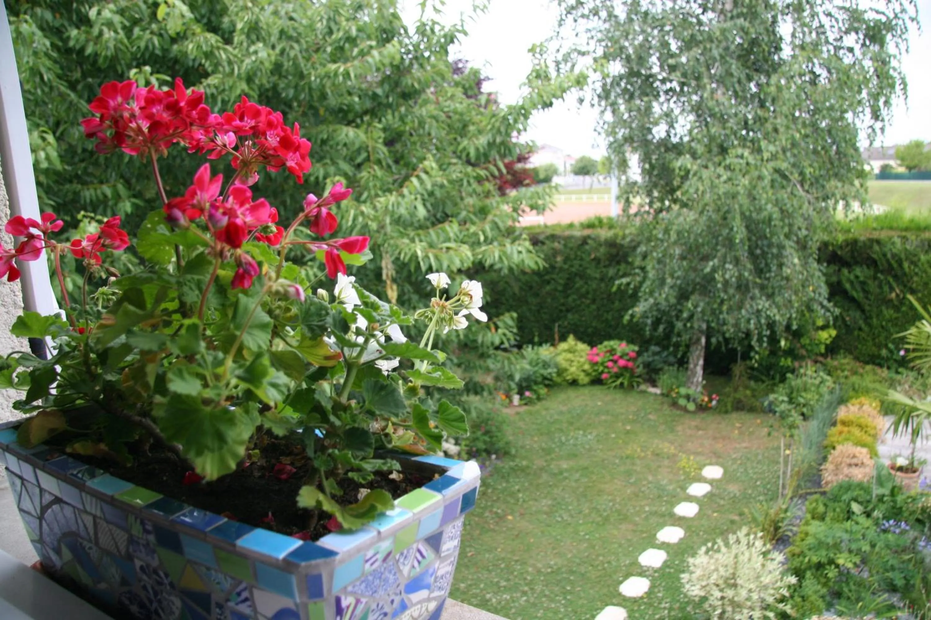 View (from property/room) in Les Suites Champenoises