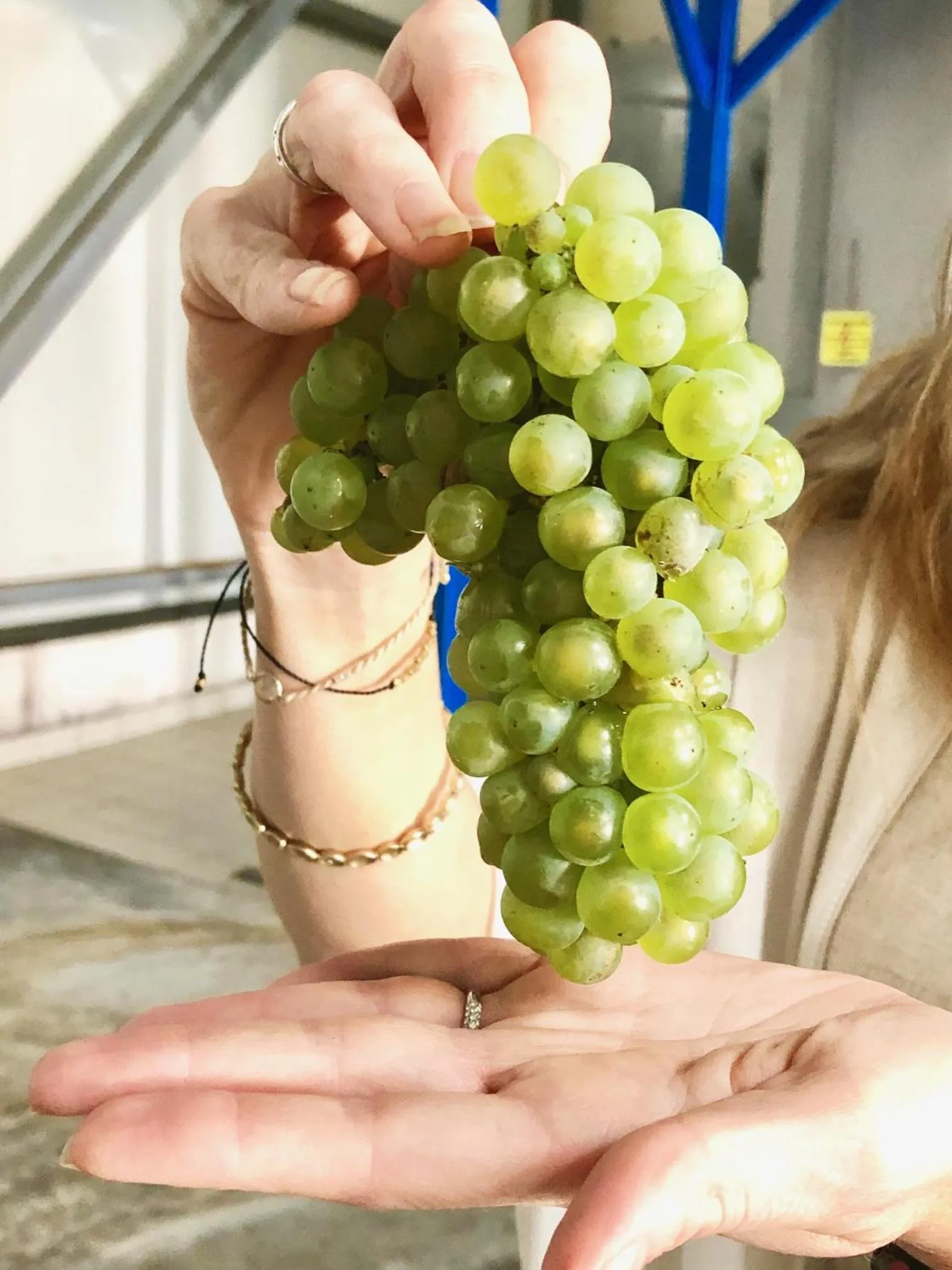 Food and drinks in Les Suites Champenoises