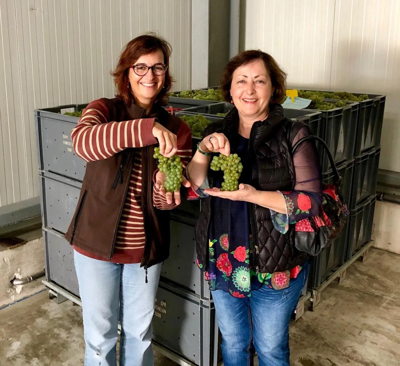 People in Les Suites Champenoises