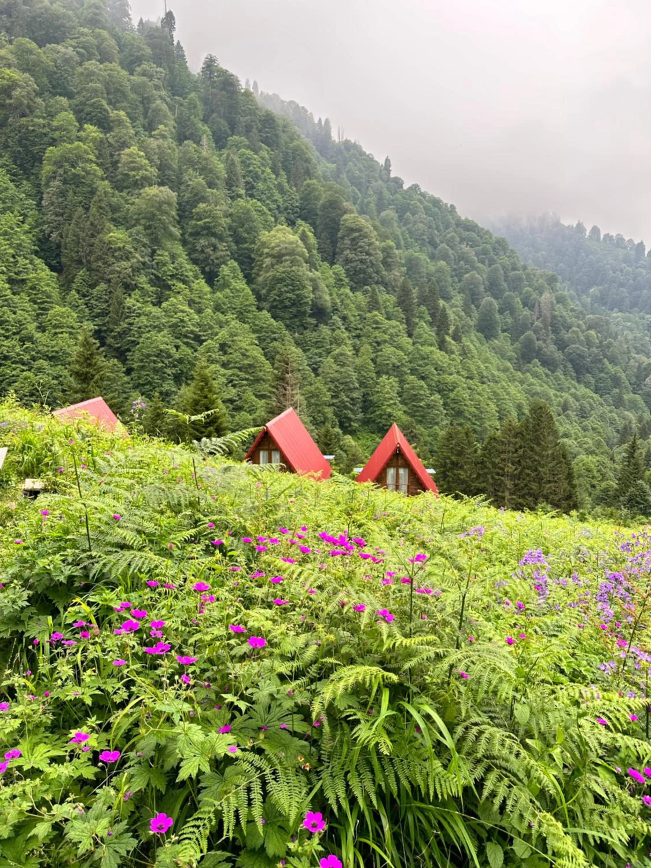 Spring in Ayder Villa Gencal