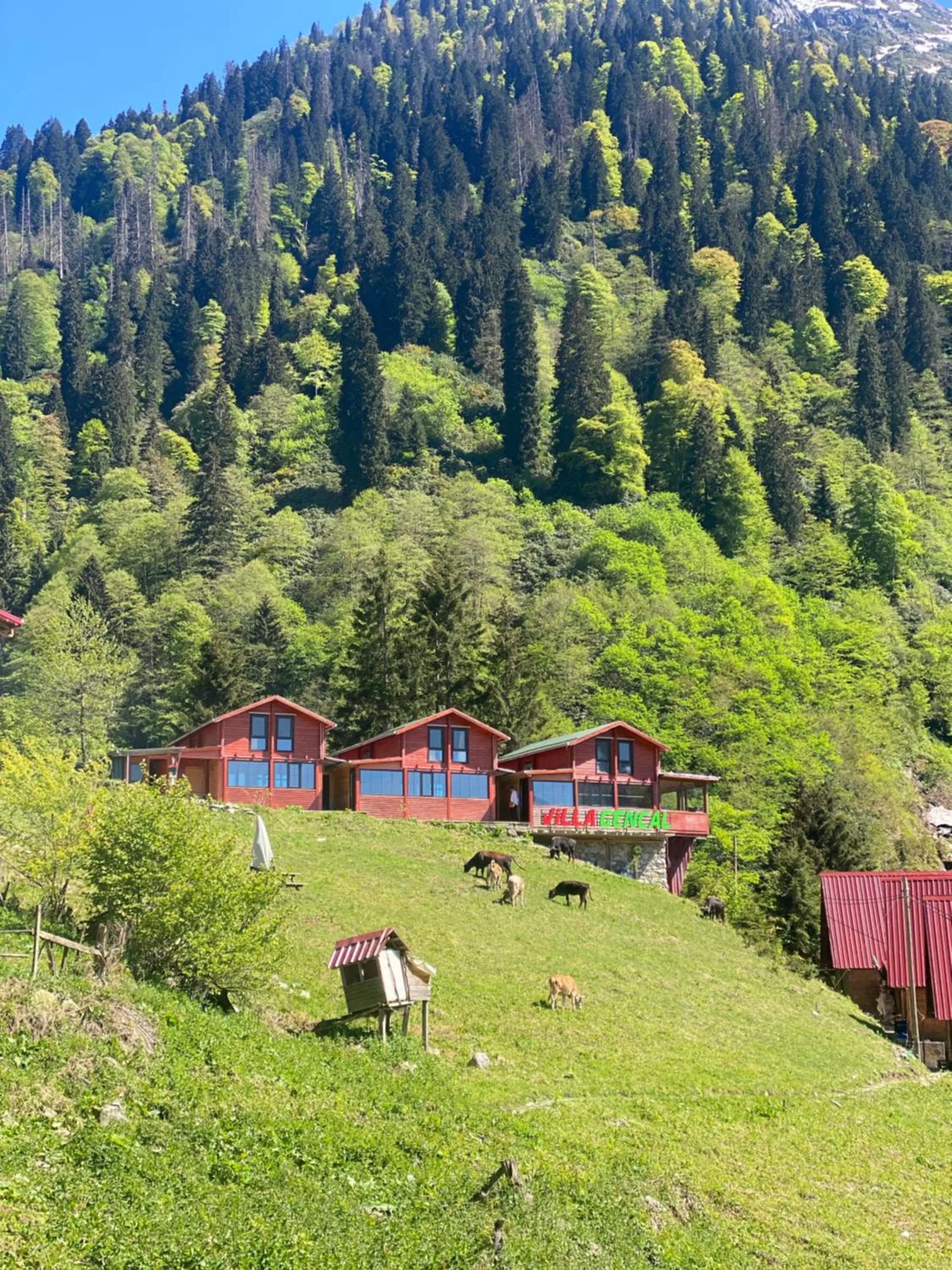 Spring in Ayder Villa Gencal