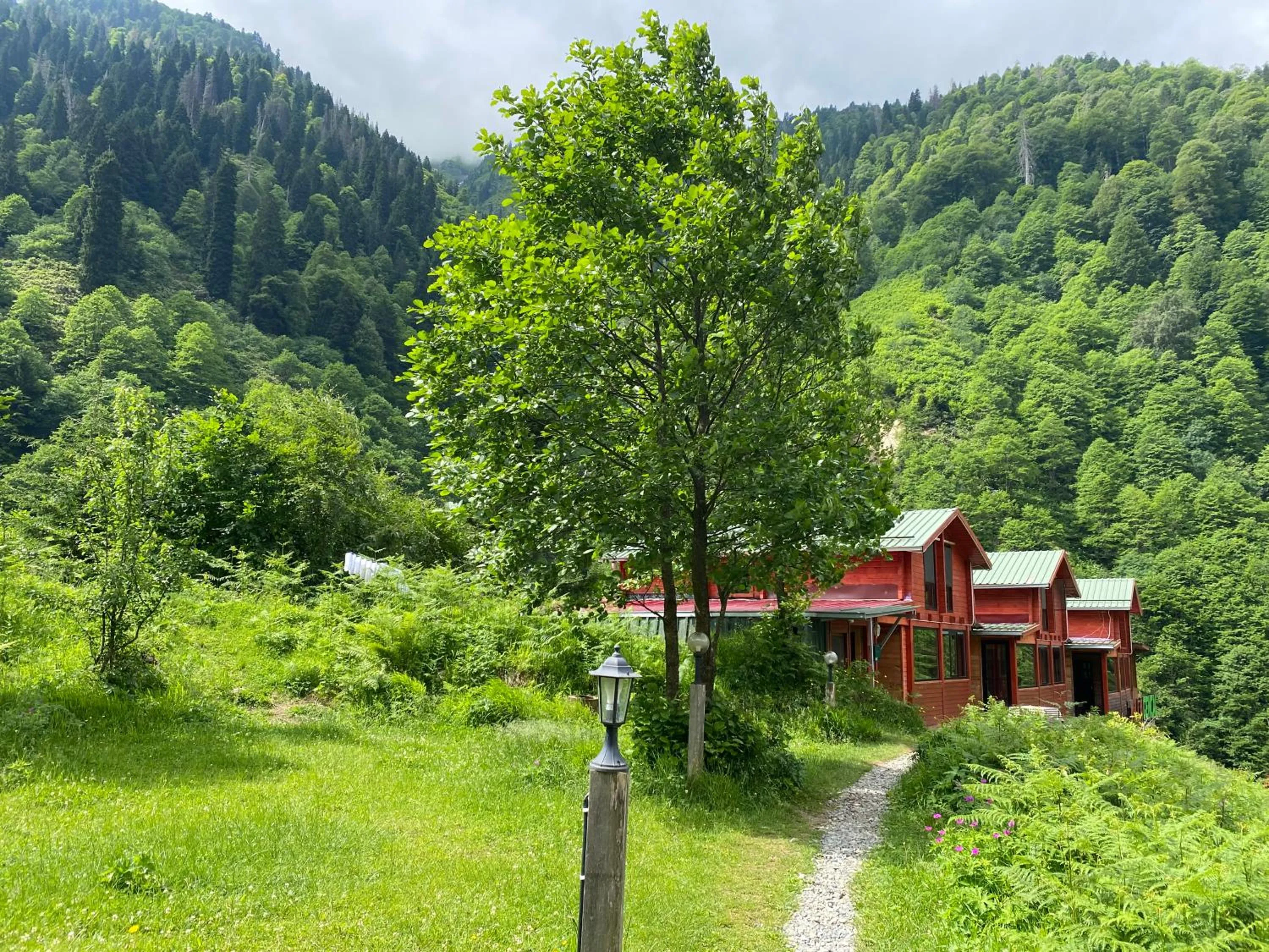 Property building in Ayder Villa Gencal