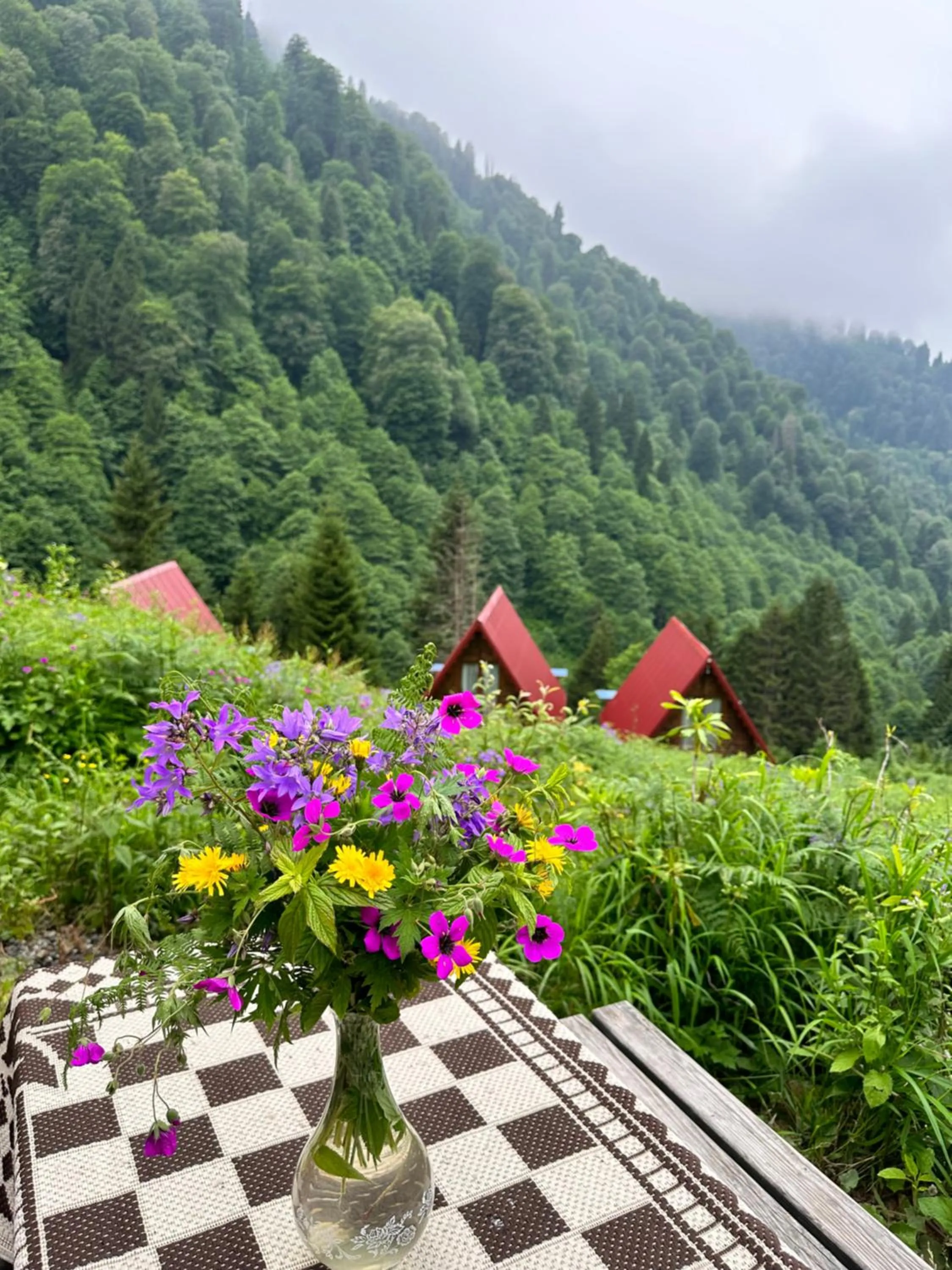 Spring in Ayder Villa Gencal