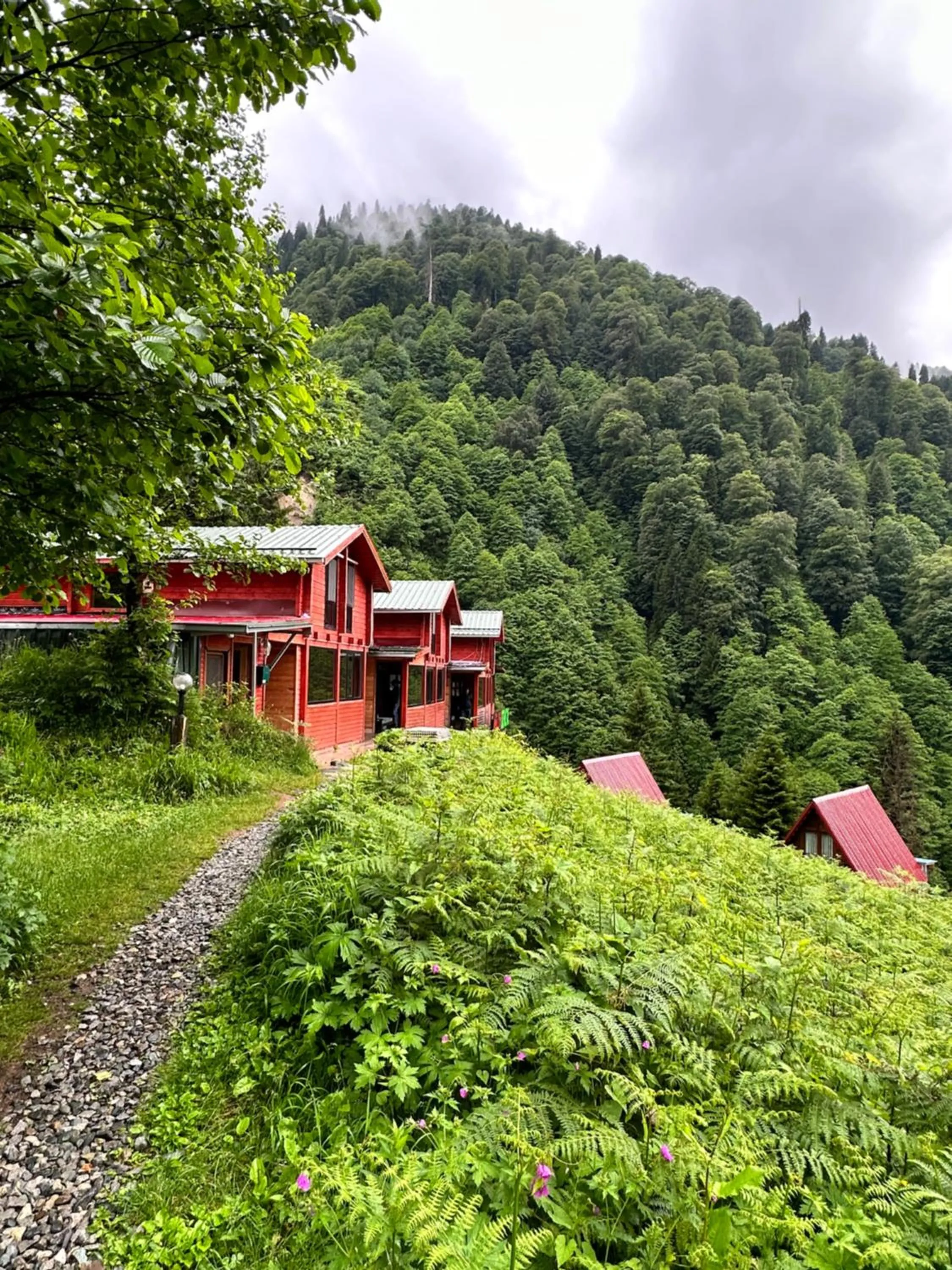 Property building in Ayder Villa Gencal