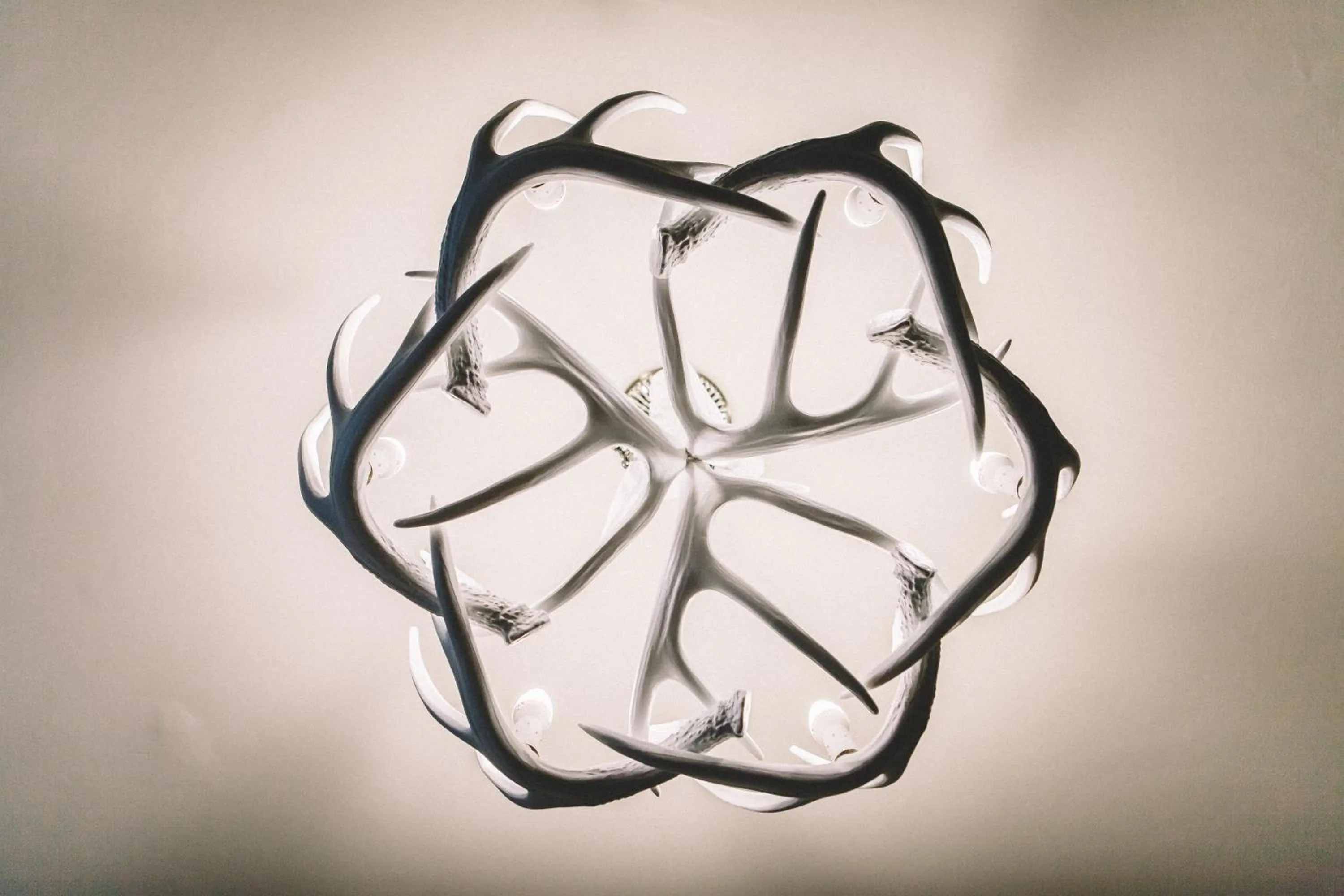 Decorative detail in The Stag at Stow