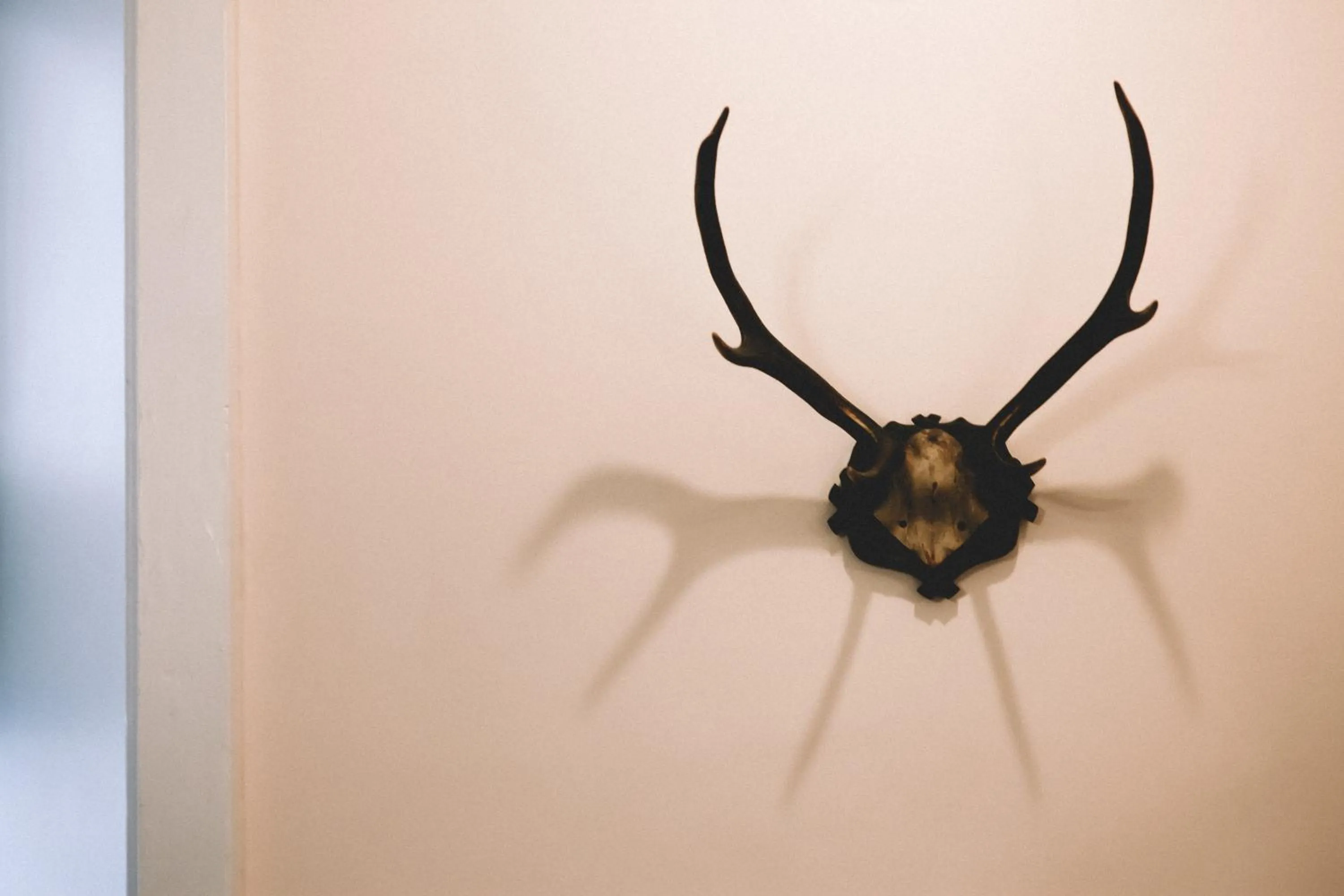 Decorative detail in The Stag at Stow