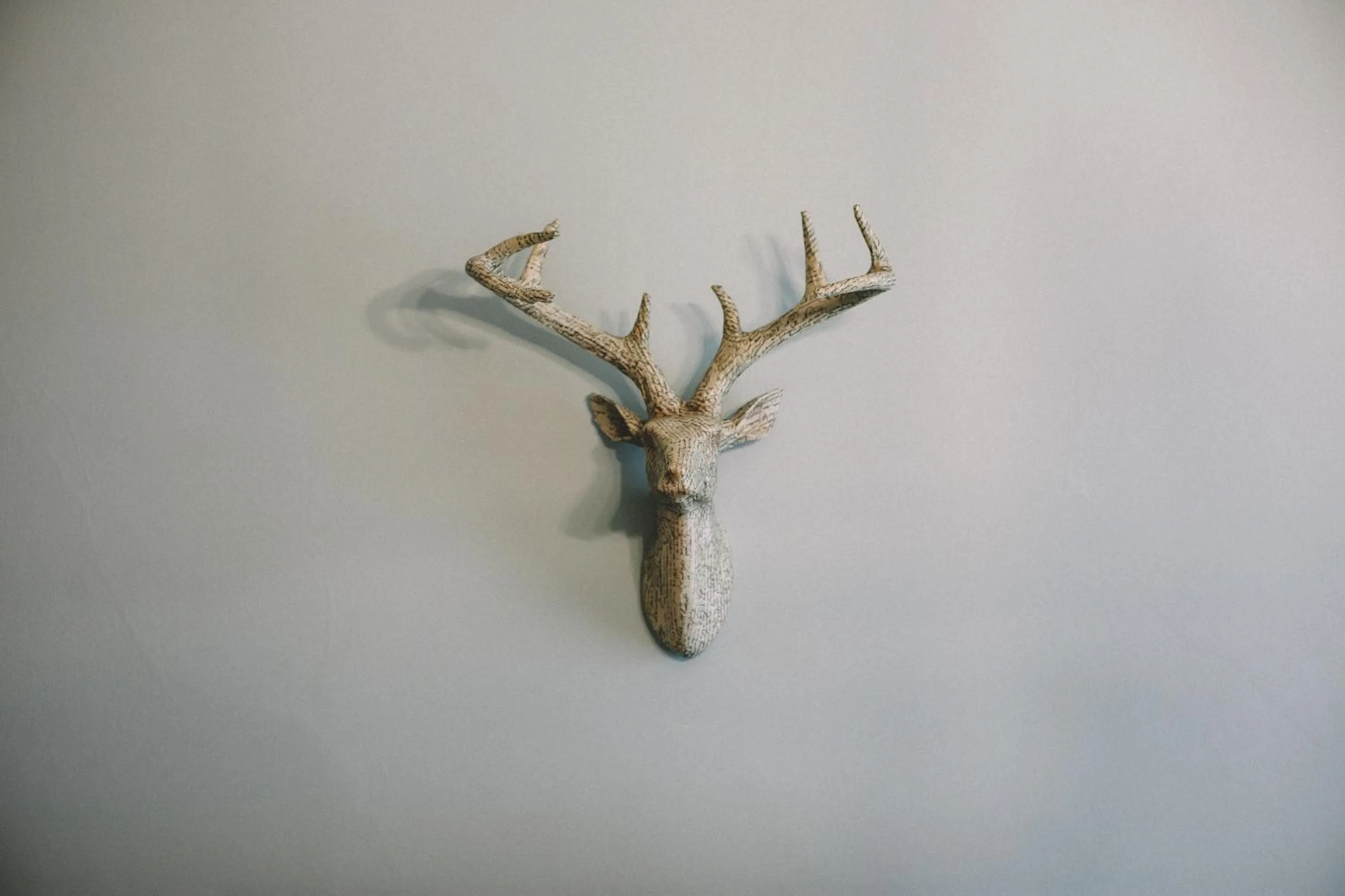 Other in The Stag at Stow