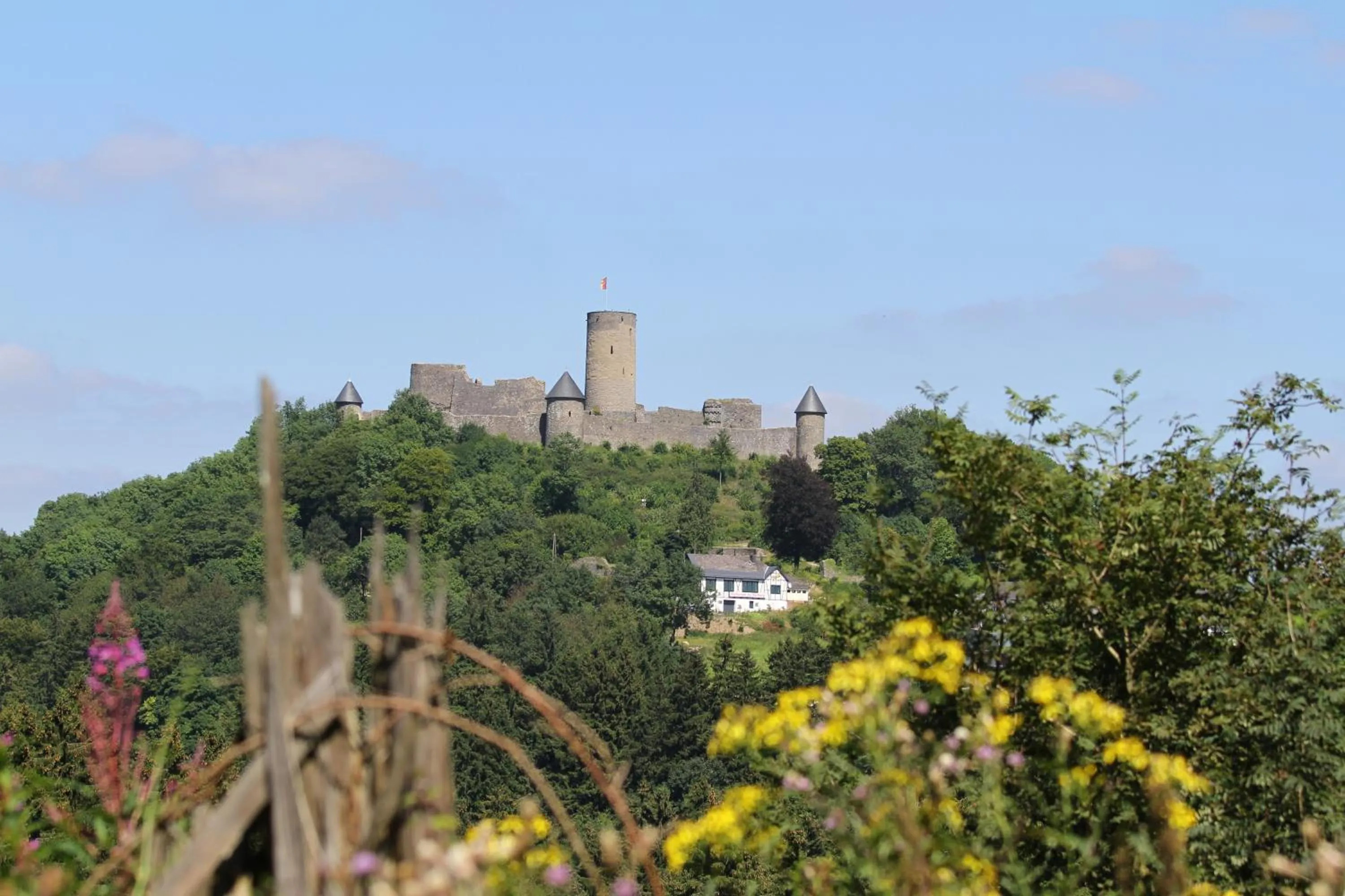 Area and facilities in Hotel Am Tiergarten