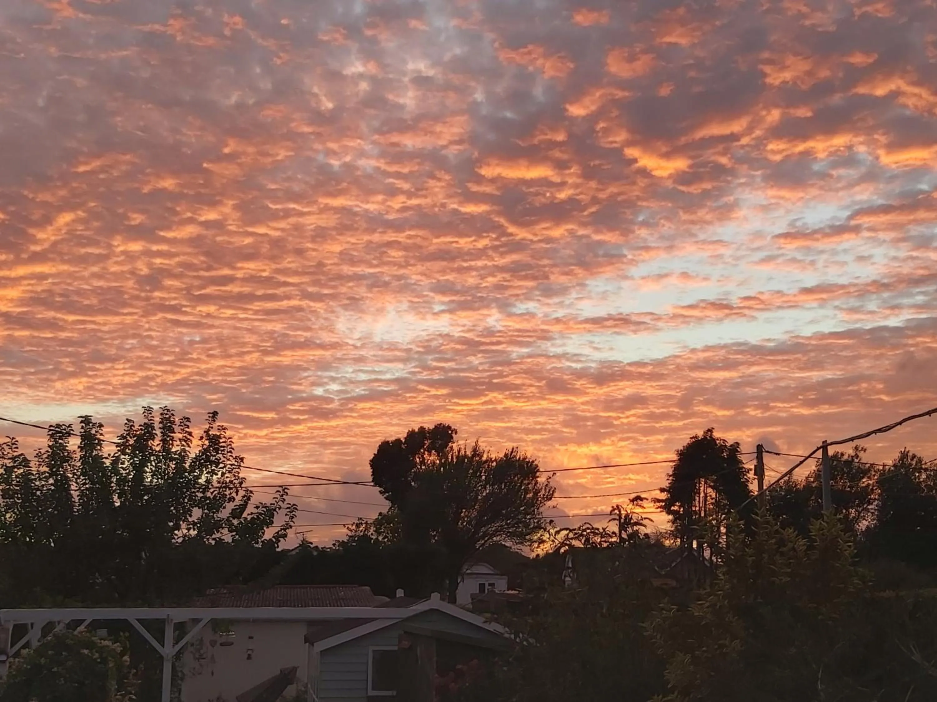 Natural landscape in The Gem