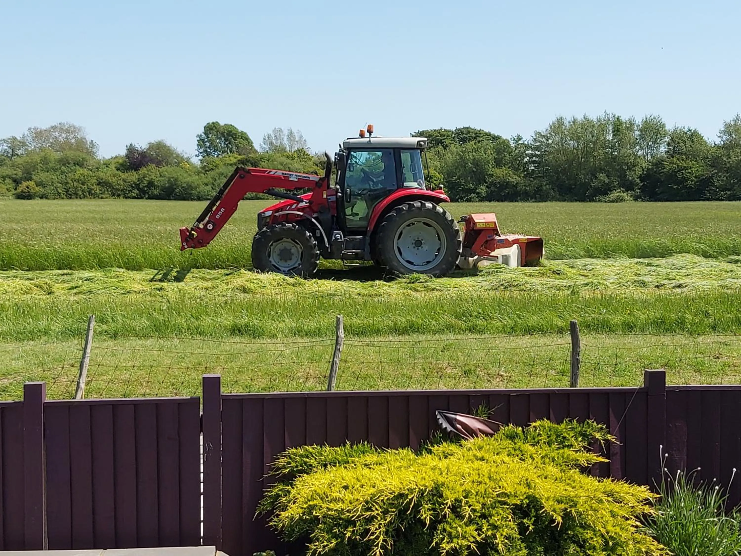 Natural landscape in The Gem