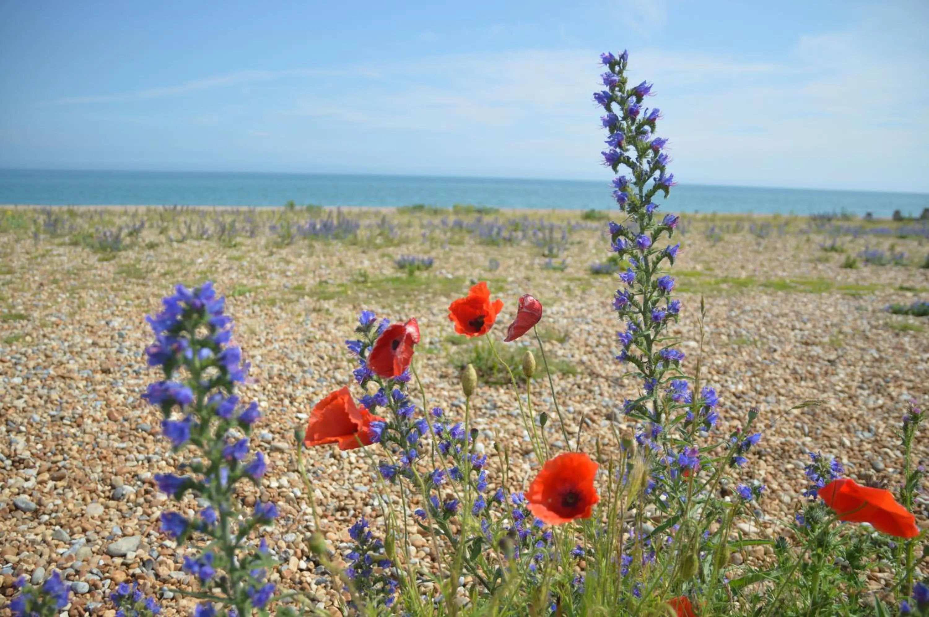 Nearby landmark in The Gem