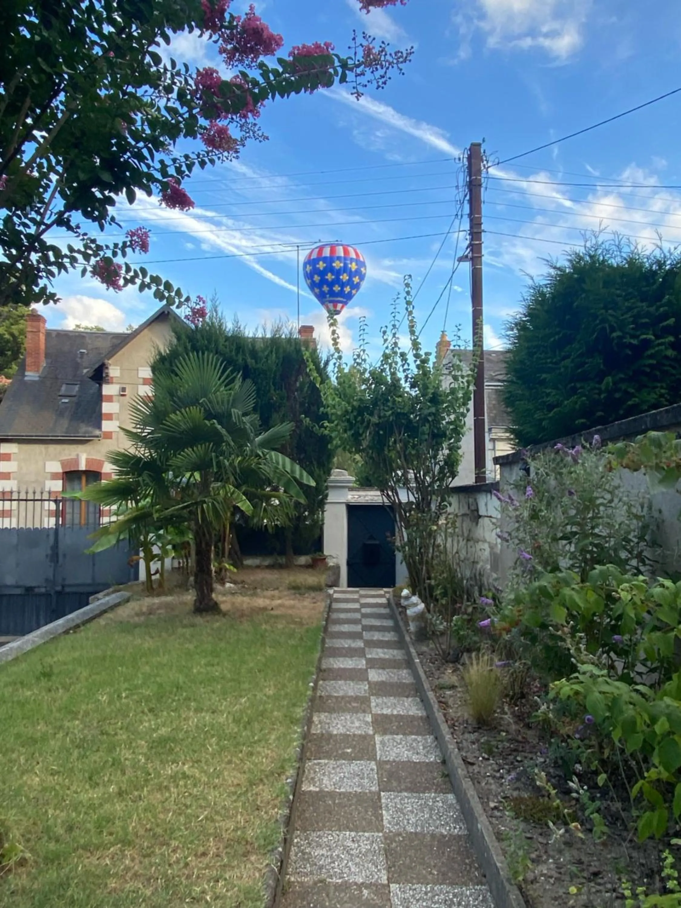Garden view in Les Rives du Cher - Chambres d'hôtes