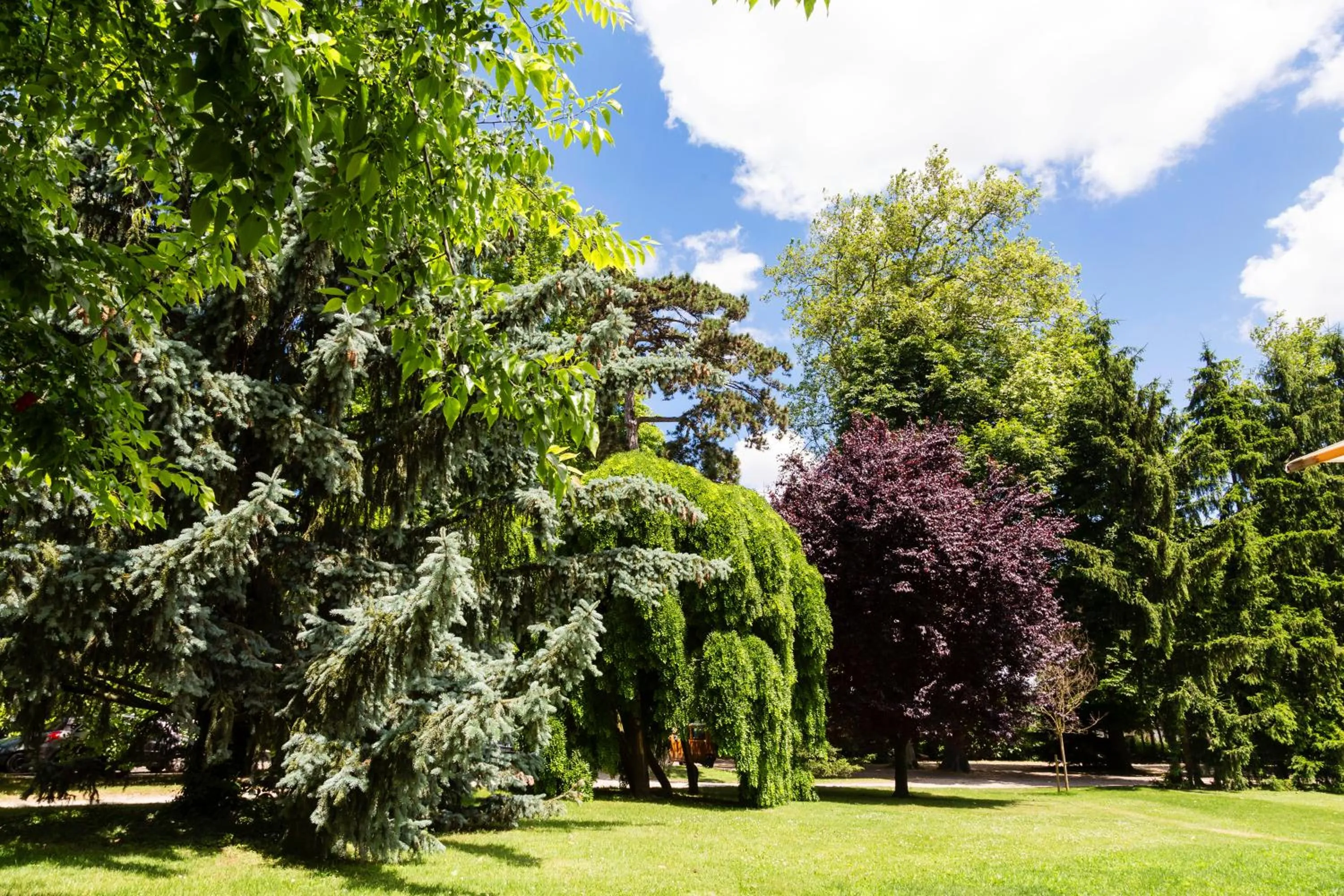 Garden view in Domaine de Clairefontaine - Teritoria
