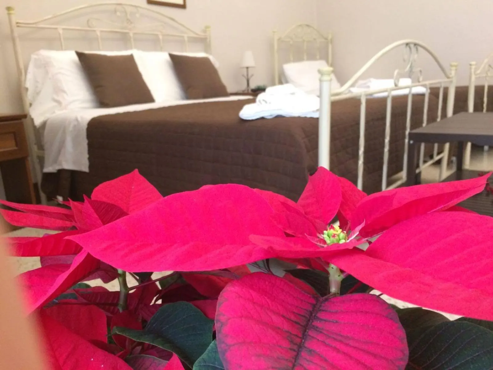 Photo of the whole room in Le Stanze dell'Emiro