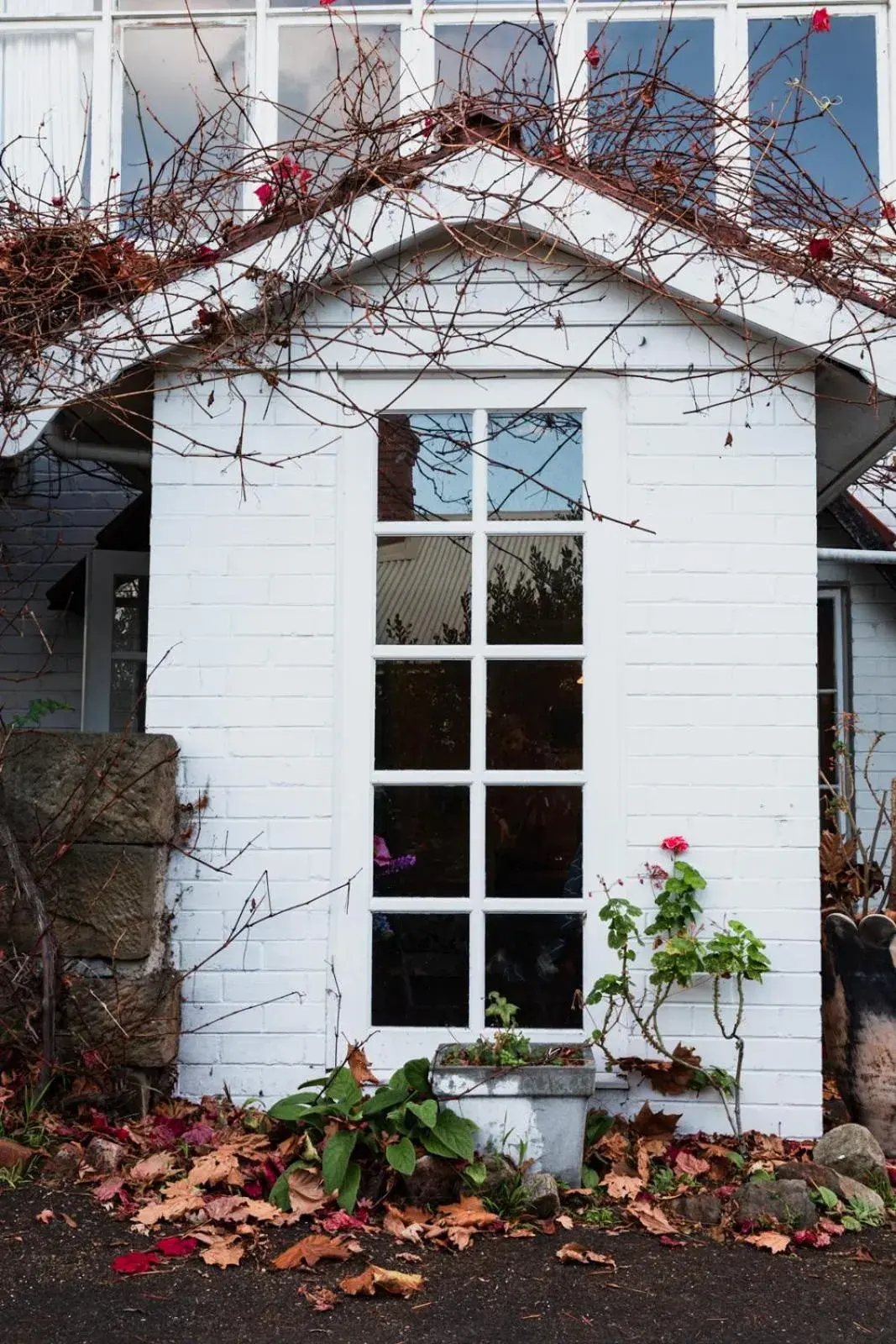 Double Room - 9 in Battery Point Manor Double Room - 9 in Battery Point Manor