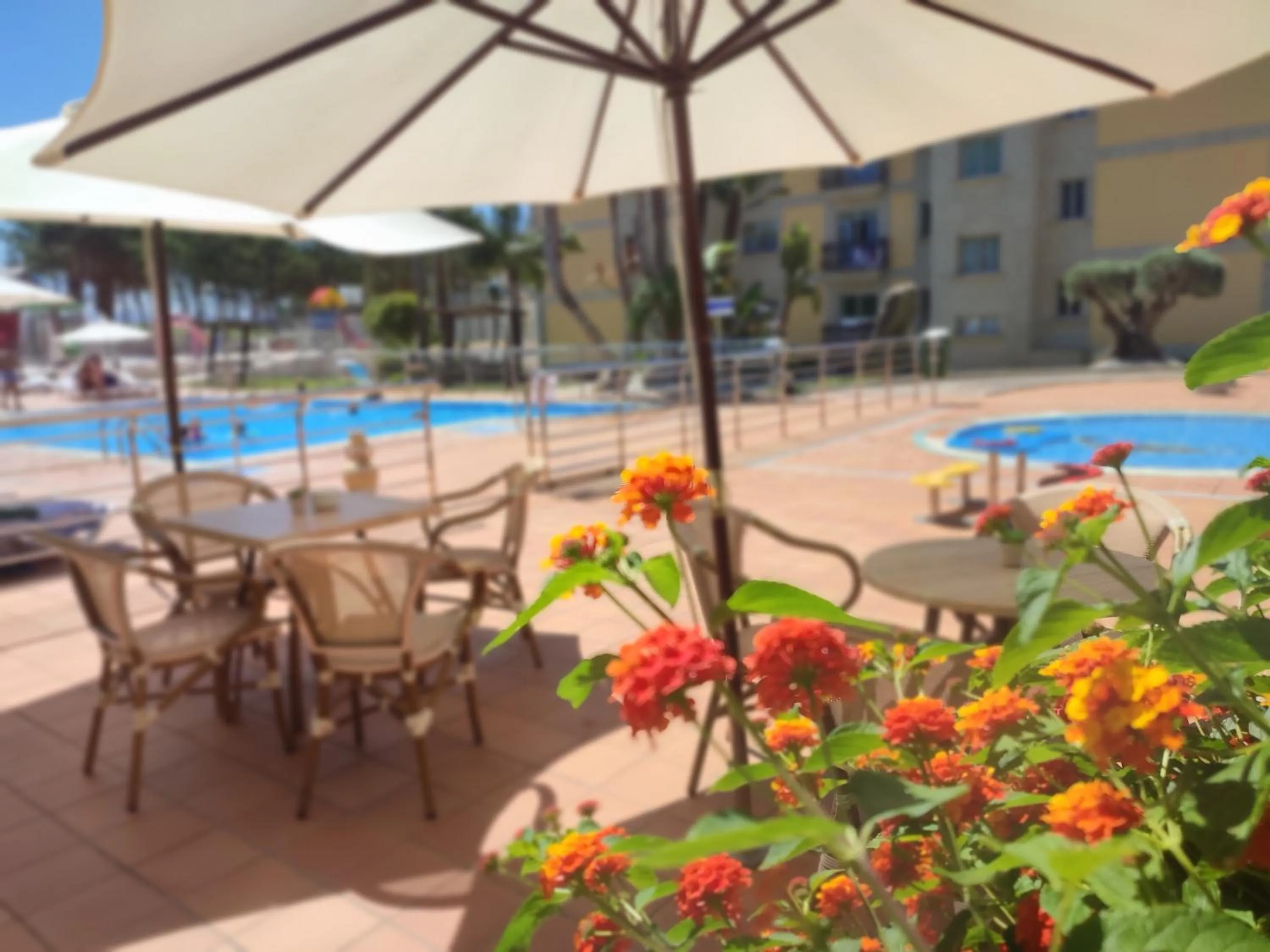 Breakfast in Apartamentos Marsil